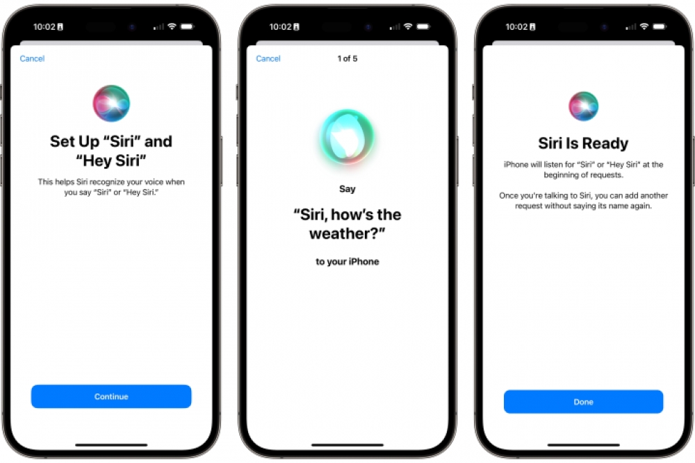 The setup process for Apple's digital assistant.