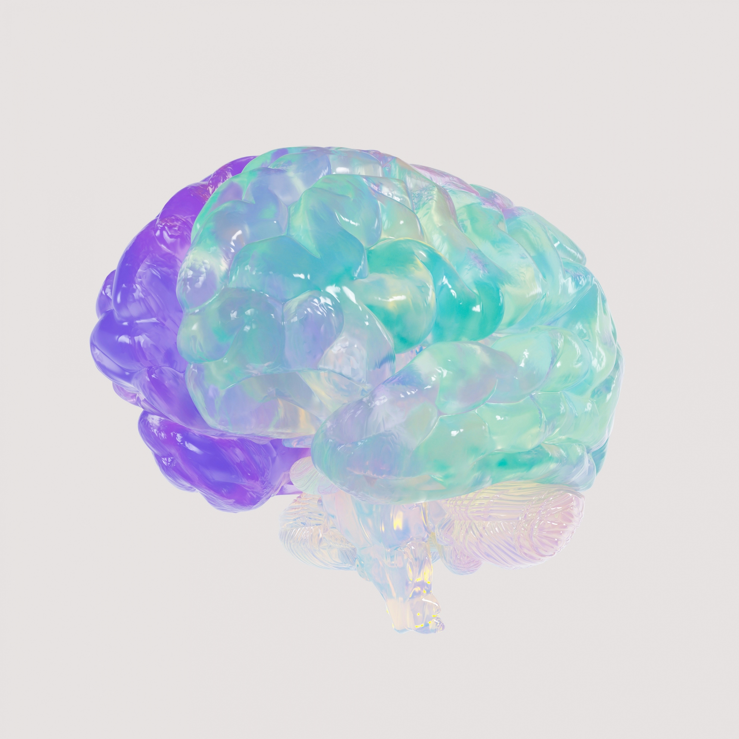 3D Colorful Human Brain