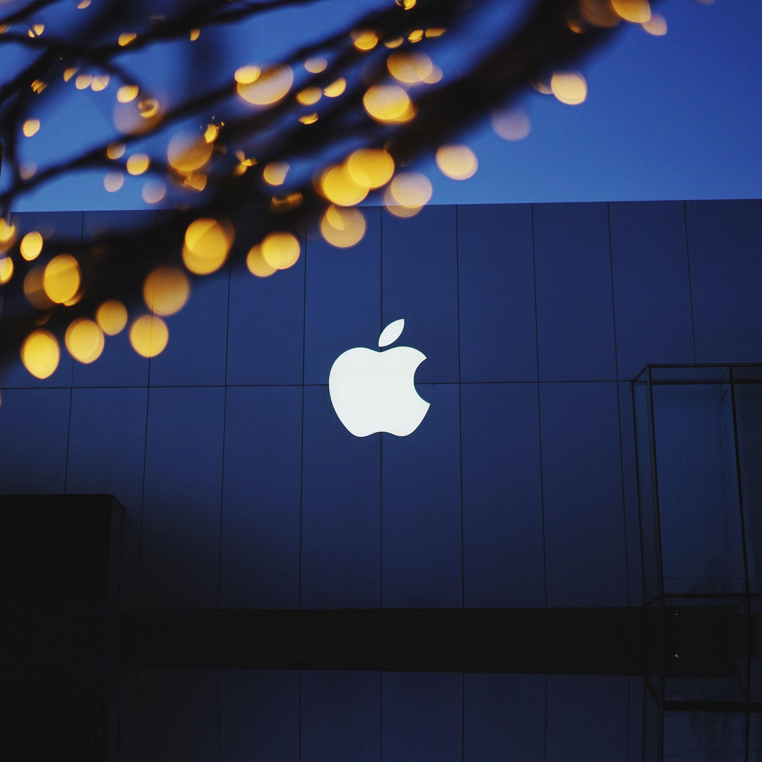 Apple Logo Apple Store Christmas Lights Fairy wallpaper for Apple iPhone, Apple Watch, Mac, iPad and Apple Watch