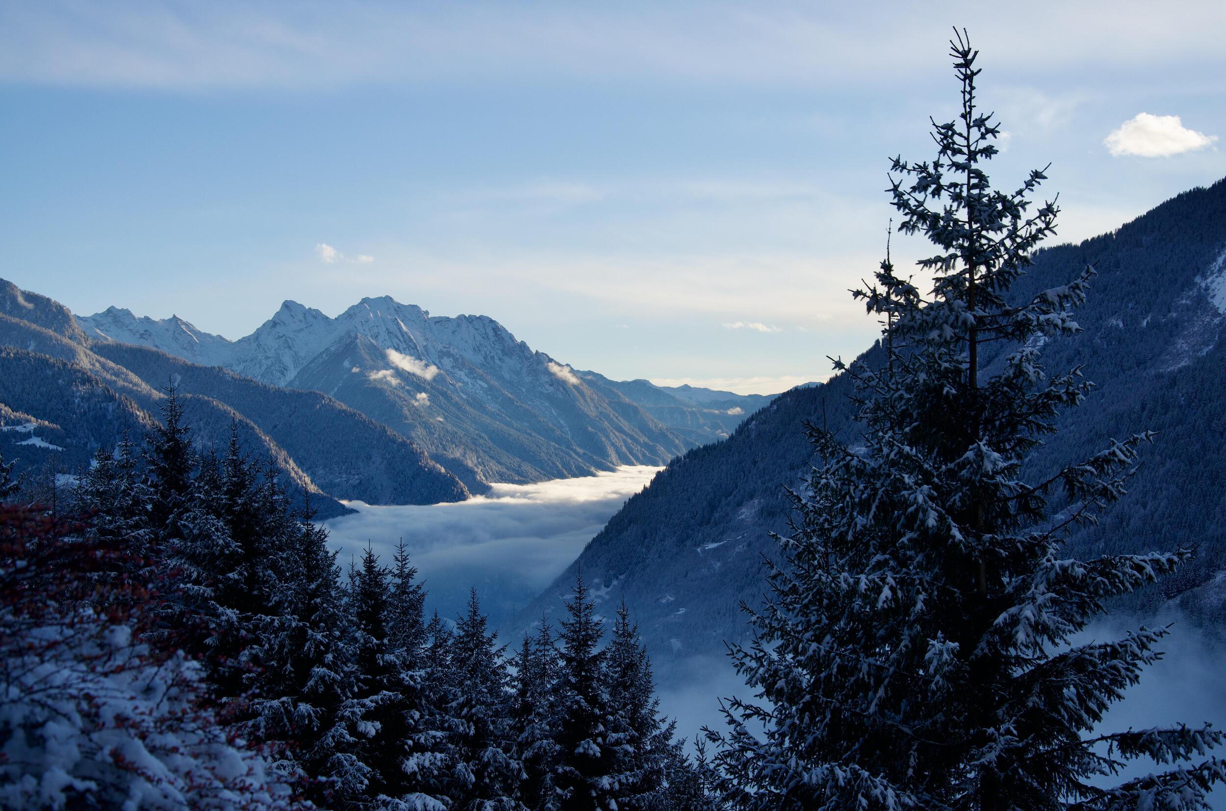 Blue Mountains In Winter Landscape Nature 8K 4K High Res Snowing Best Free Download Wallpapers For iPad Pro Or iPad Air And Android Tablets