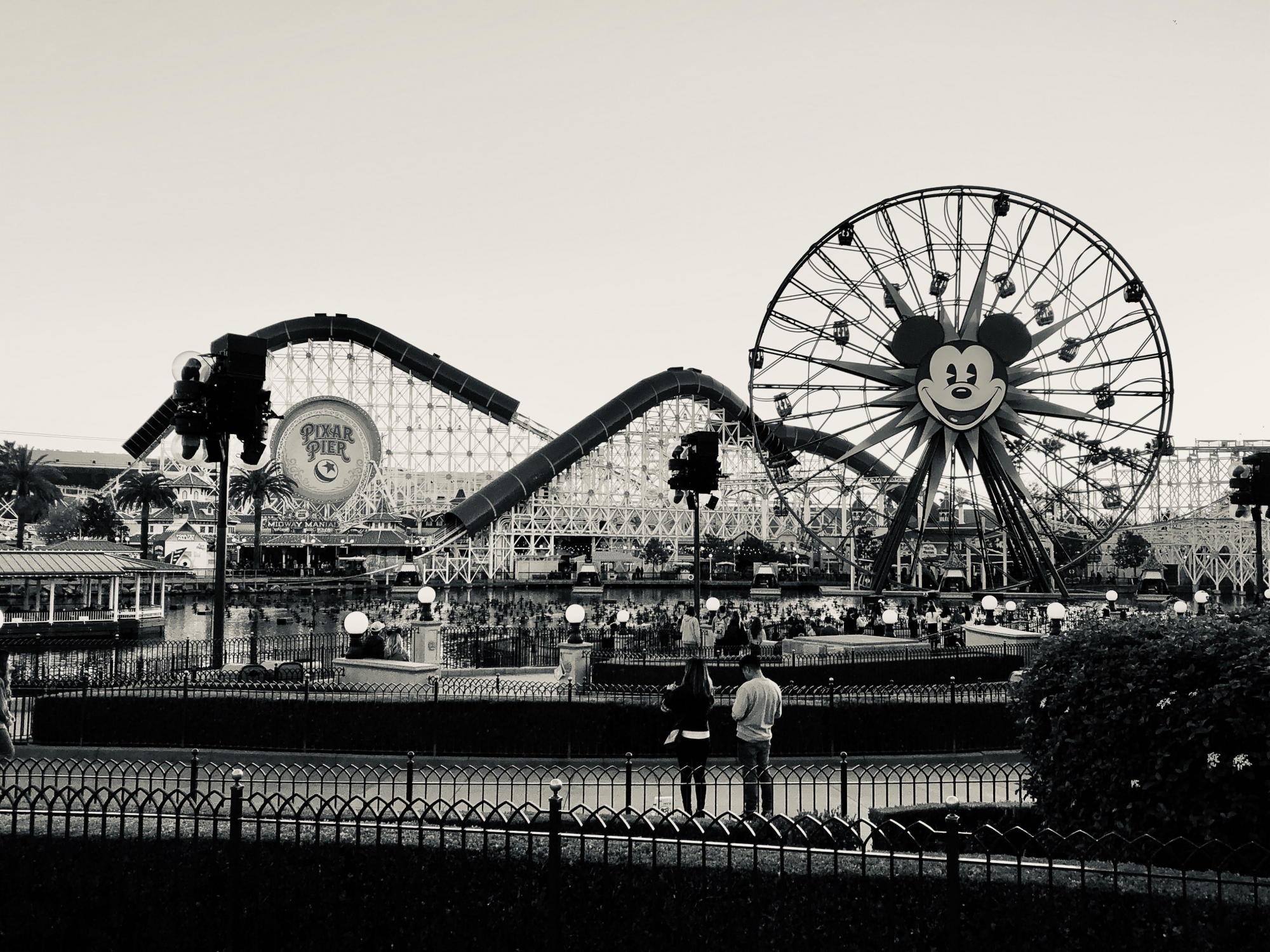 Disneyland Black And White