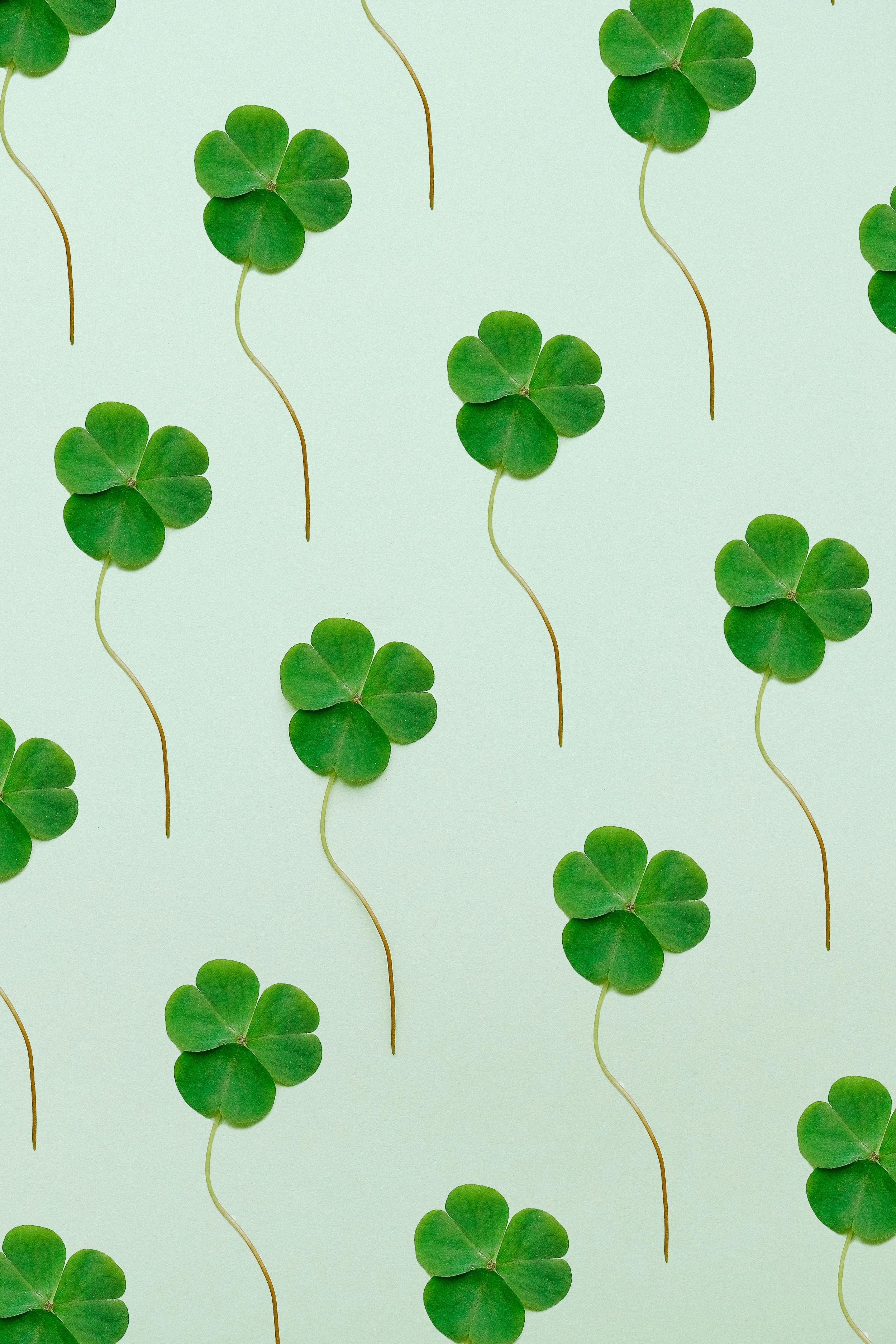 Four Leaf Clovers Pattern Repeating