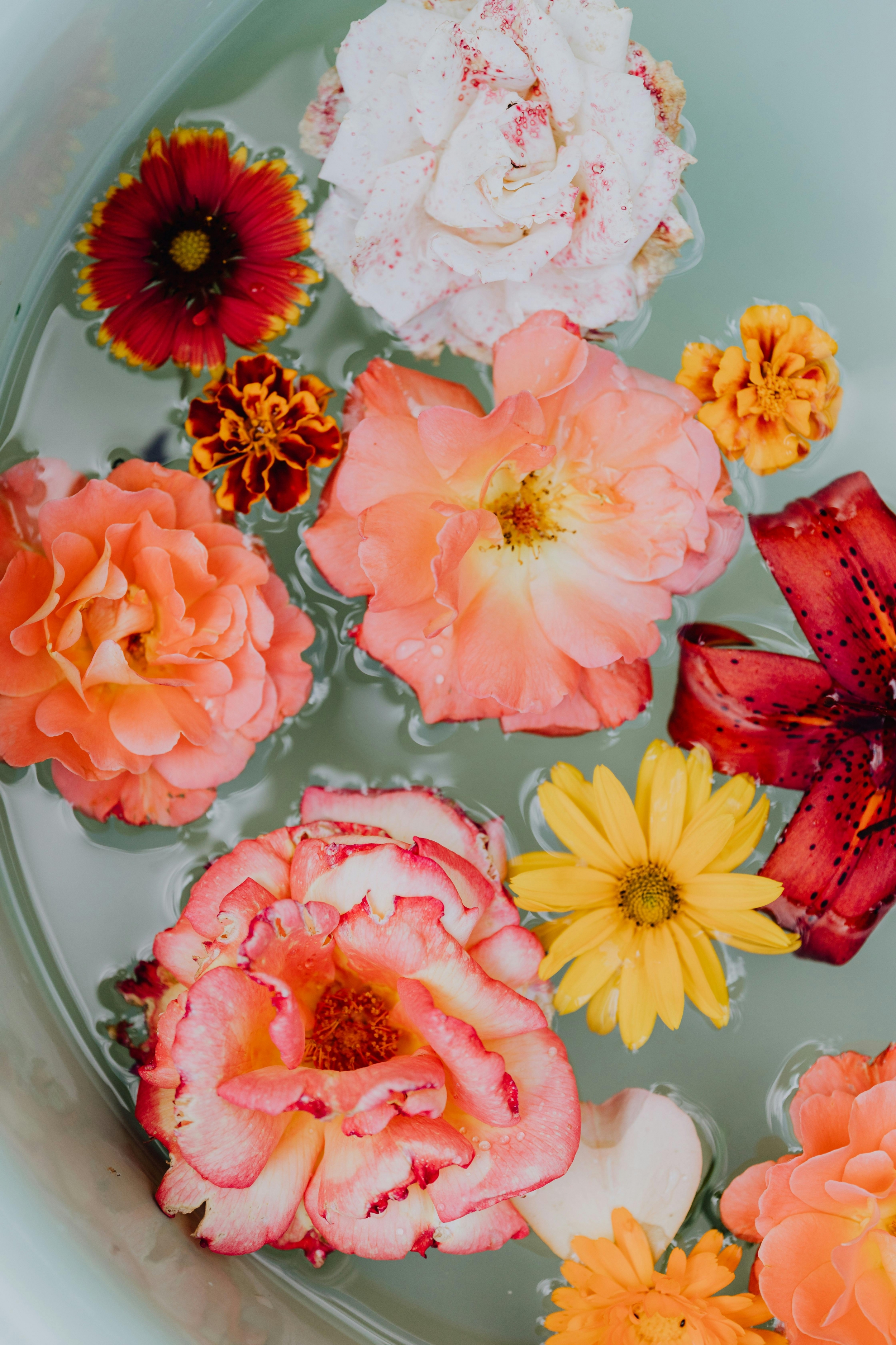 Gorgeous Pink And Orange Flowers In The Bath wallpaper for Apple iPhone, Apple Watch, Mac, iPad and Apple Watch