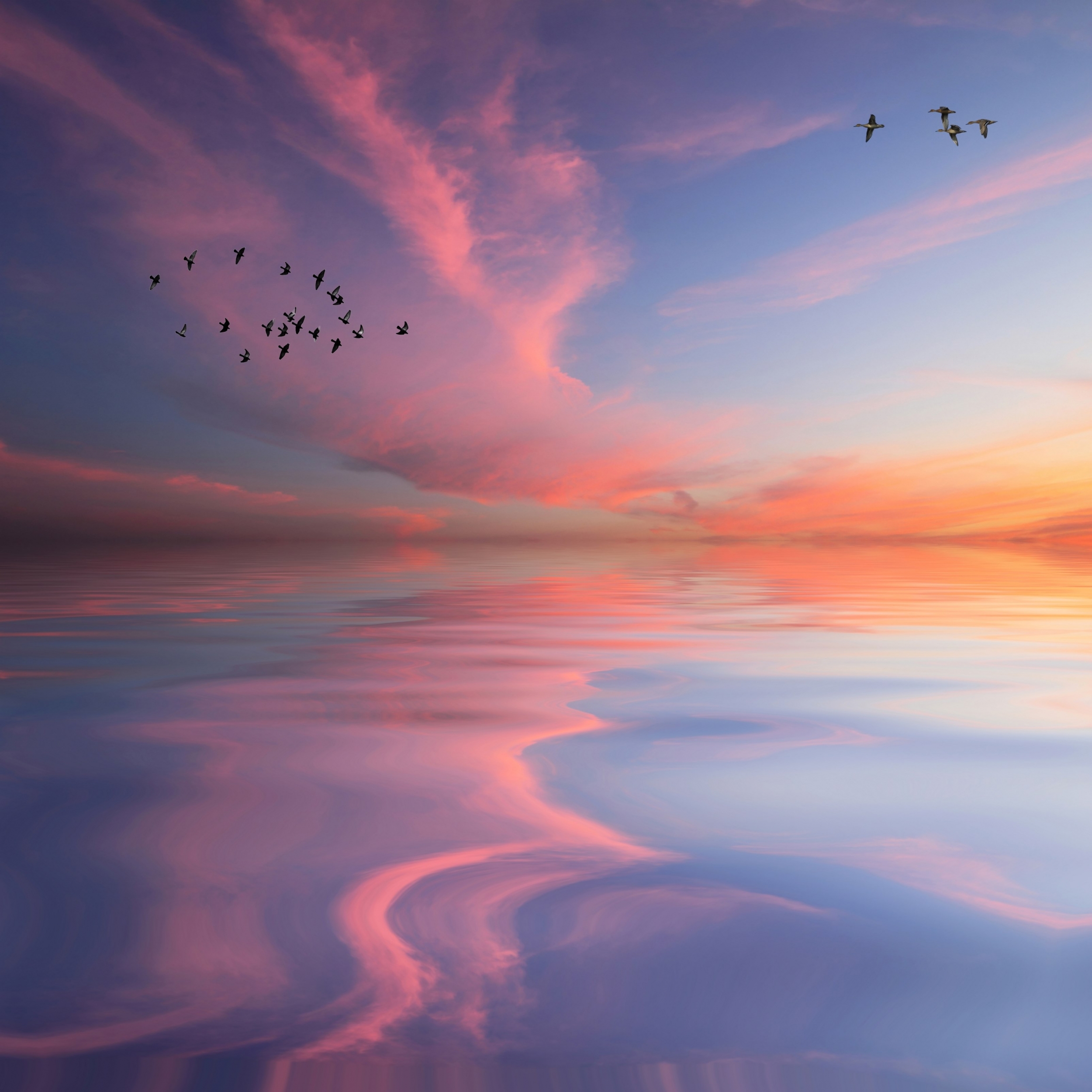 Gorgeous Stunning Sunset Over The Water With Birds Flying wallpaper for Apple iPhone, Apple Watch, Mac, iPad and Apple Watch