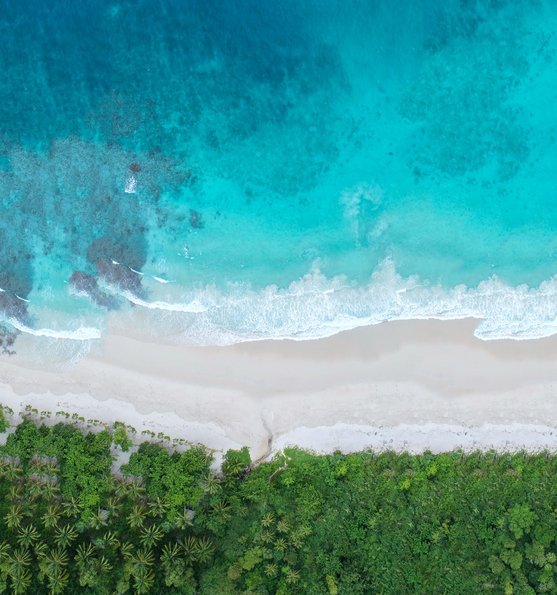 Honor View 20 Moschino Edition Stock Beach Forest Landscape From Above 4K