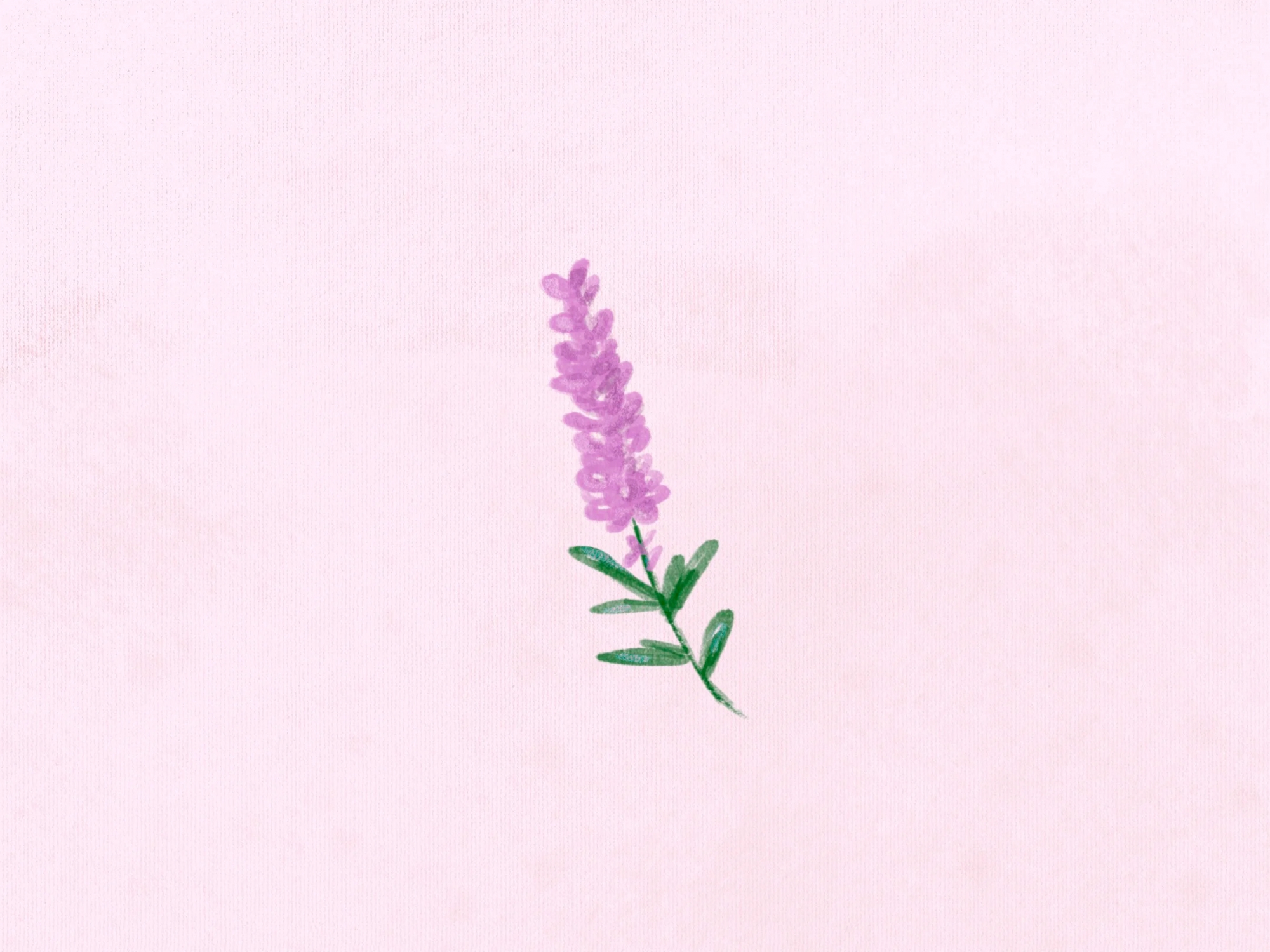 Lavender Textured Simple  wallpaper for Apple iPhone, Mac, iPad and more