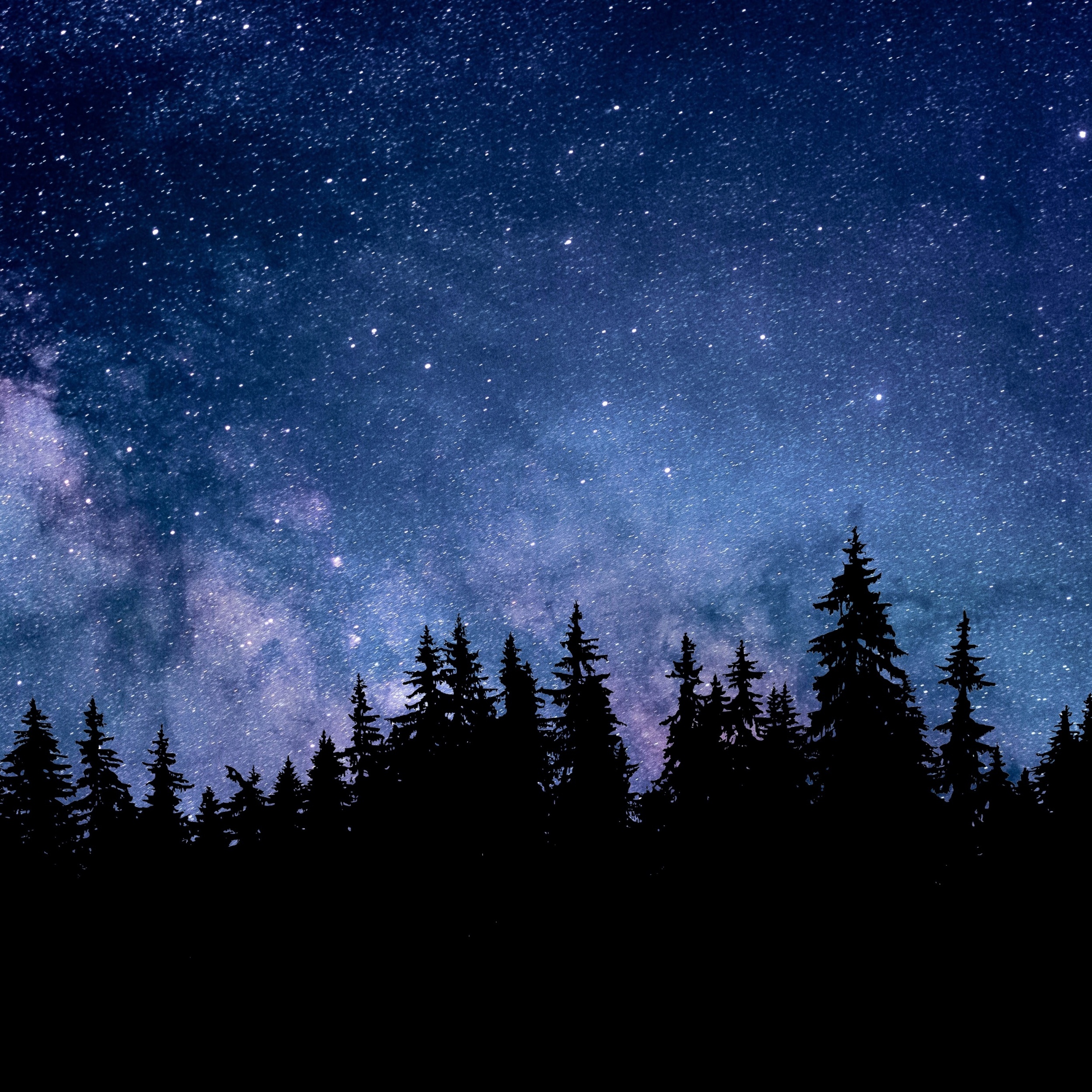 Night Starry Sky Forest Silhouette Astronomy Cosmos 5K Best Free Wallpapers Backgrounds Desktop Pictures For Apple iPad Tablets And Android HD High Resolution 4K