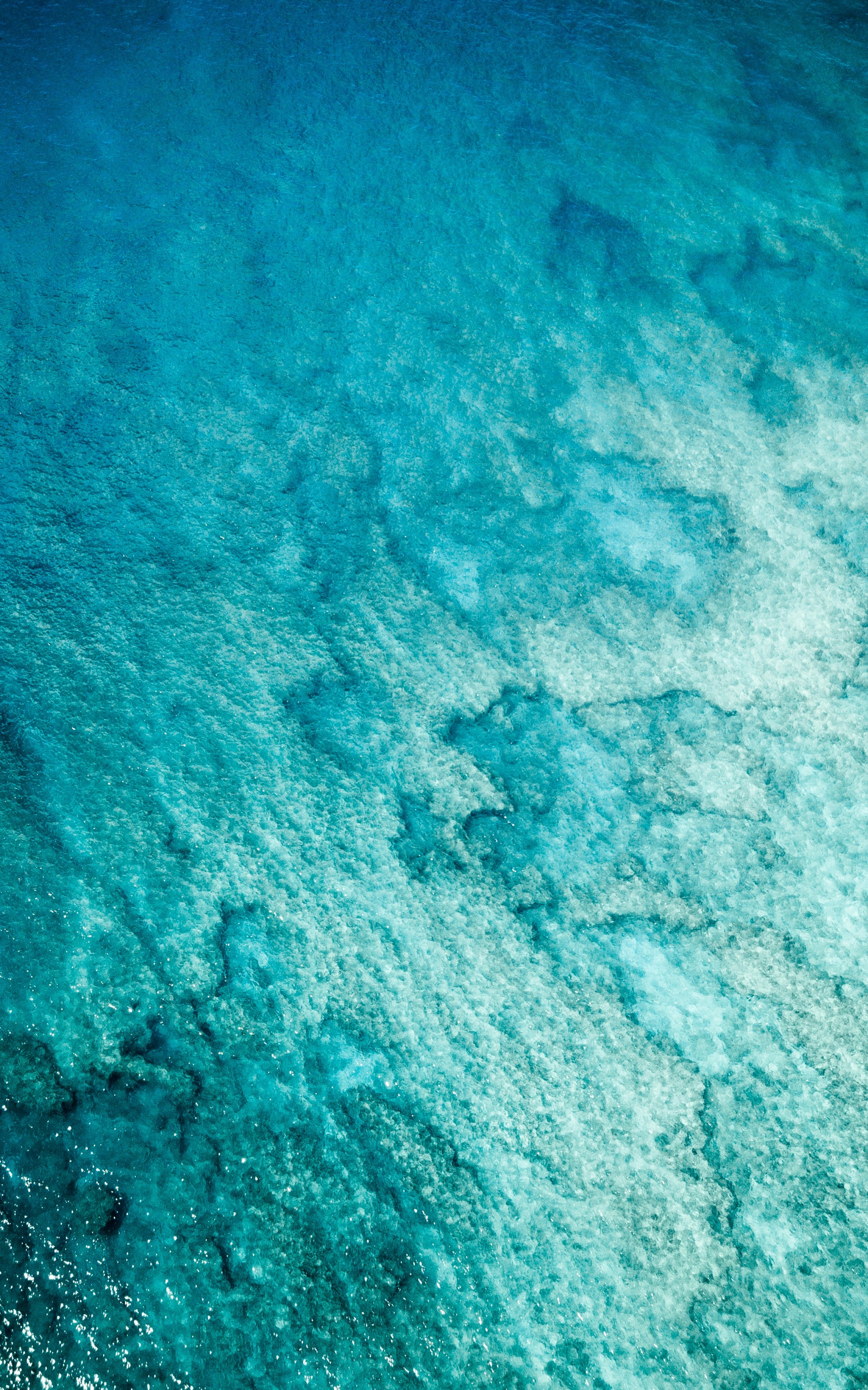 Ocean Coral From Above wallpaper for Apple iPhone, Apple Watch, Mac, iPad and Apple Watch