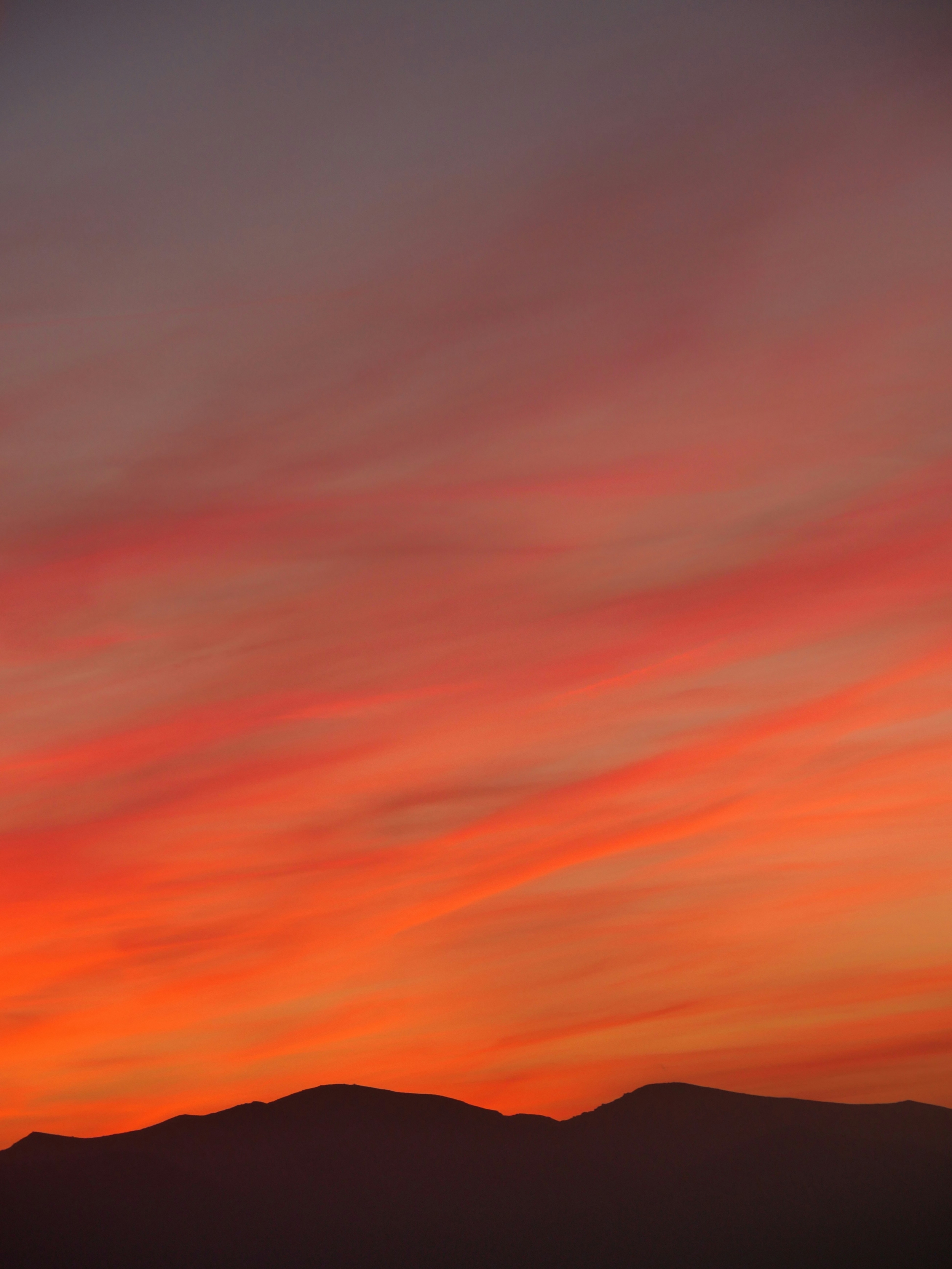 Pretty Charming Vibrant Orange Sunset