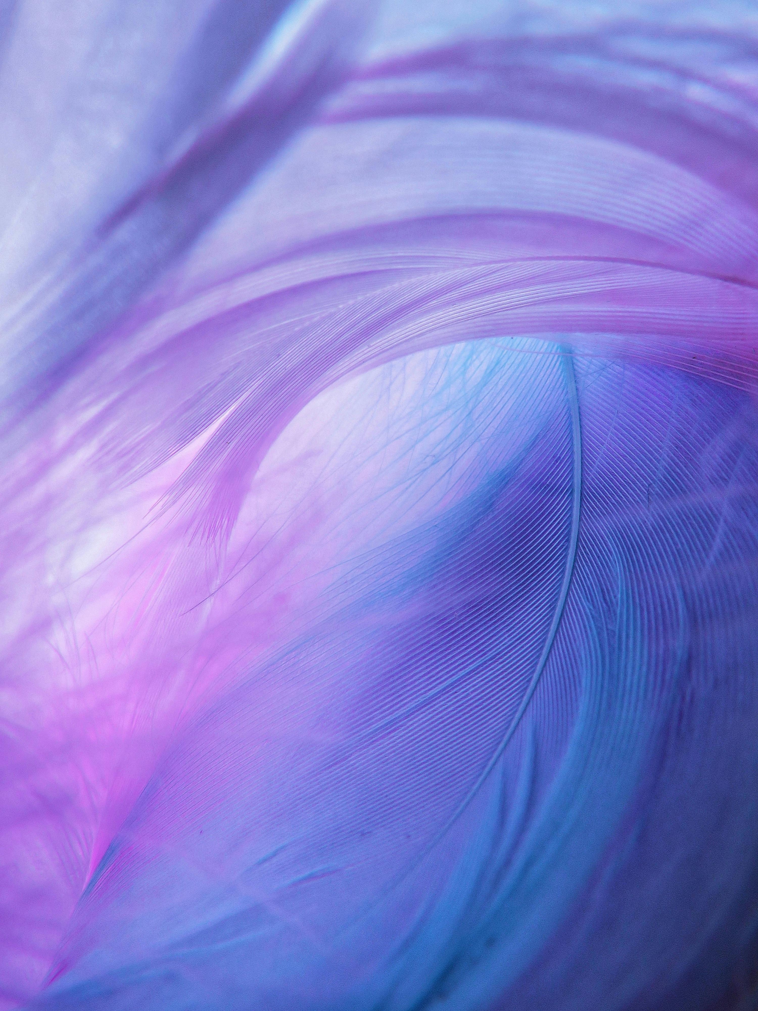 Purple Candy Floss Gradient 4K