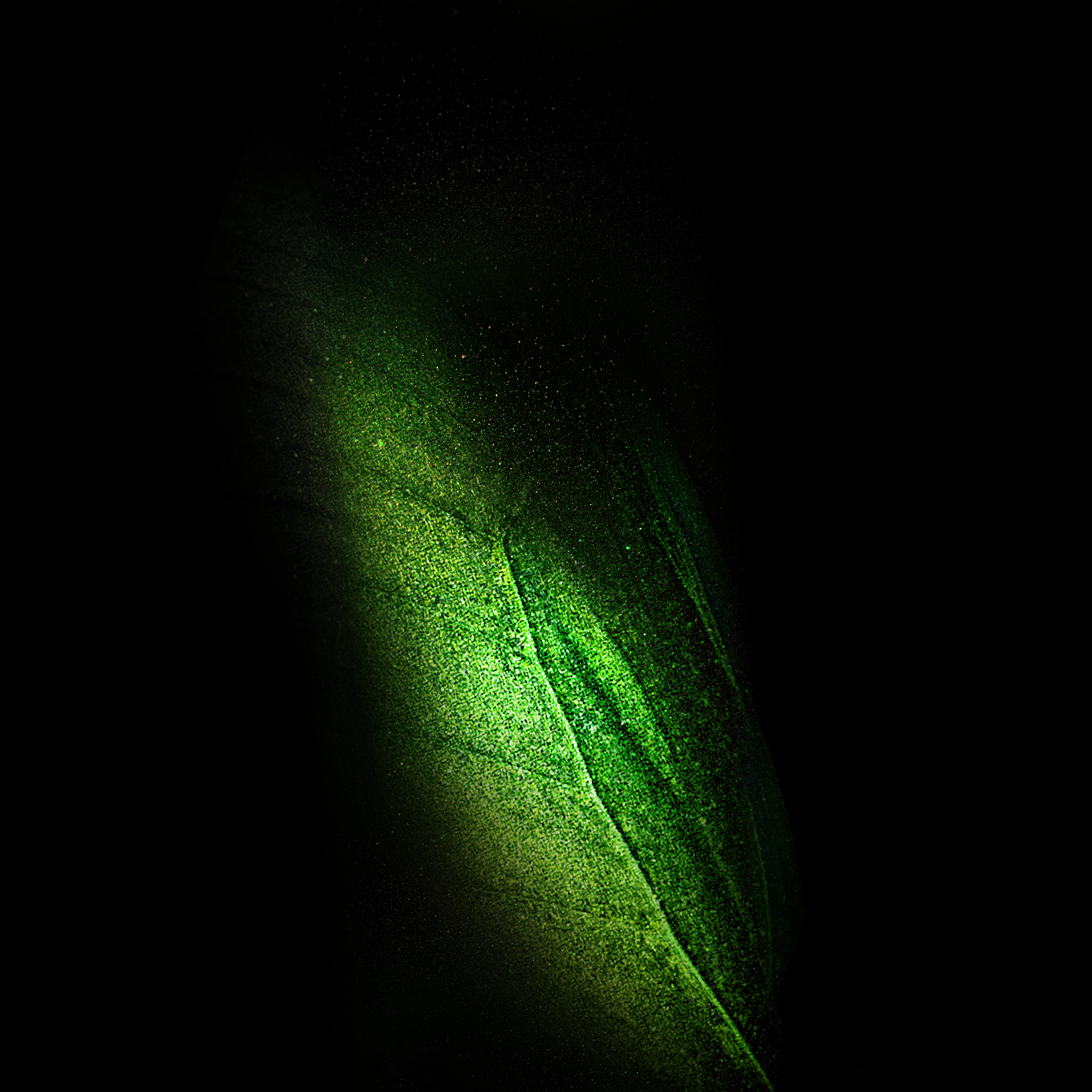 Samsung Galaxy Fold Green Magic Dust Up Close wallpaper for Apple iPhone, Apple Watch, Mac, iPad and Apple Watch