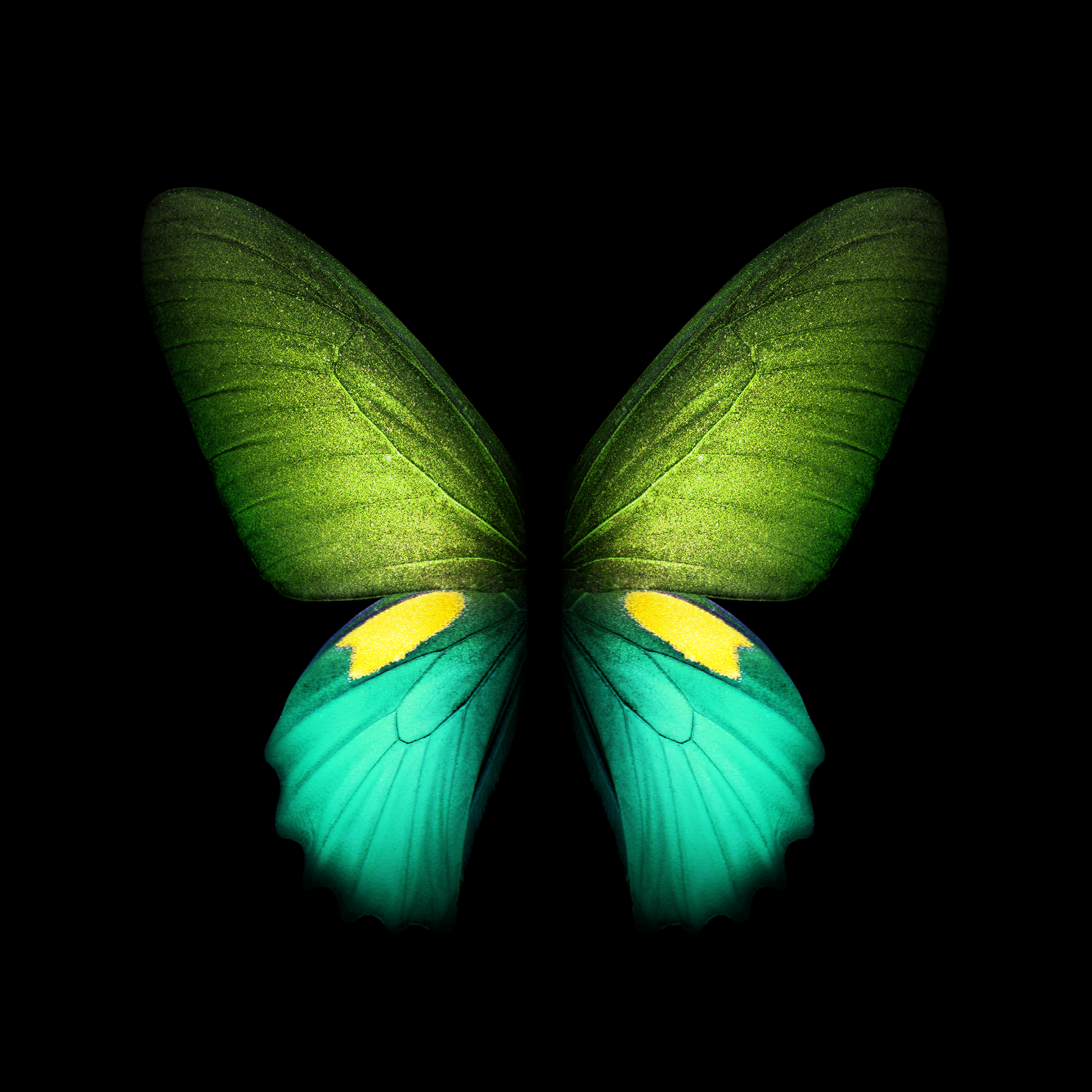 Samsung Galaxy Fold Multicolor Green Butterfly Stock wallpaper for Apple iPhone, Apple Watch, Mac, iPad and Apple Watch