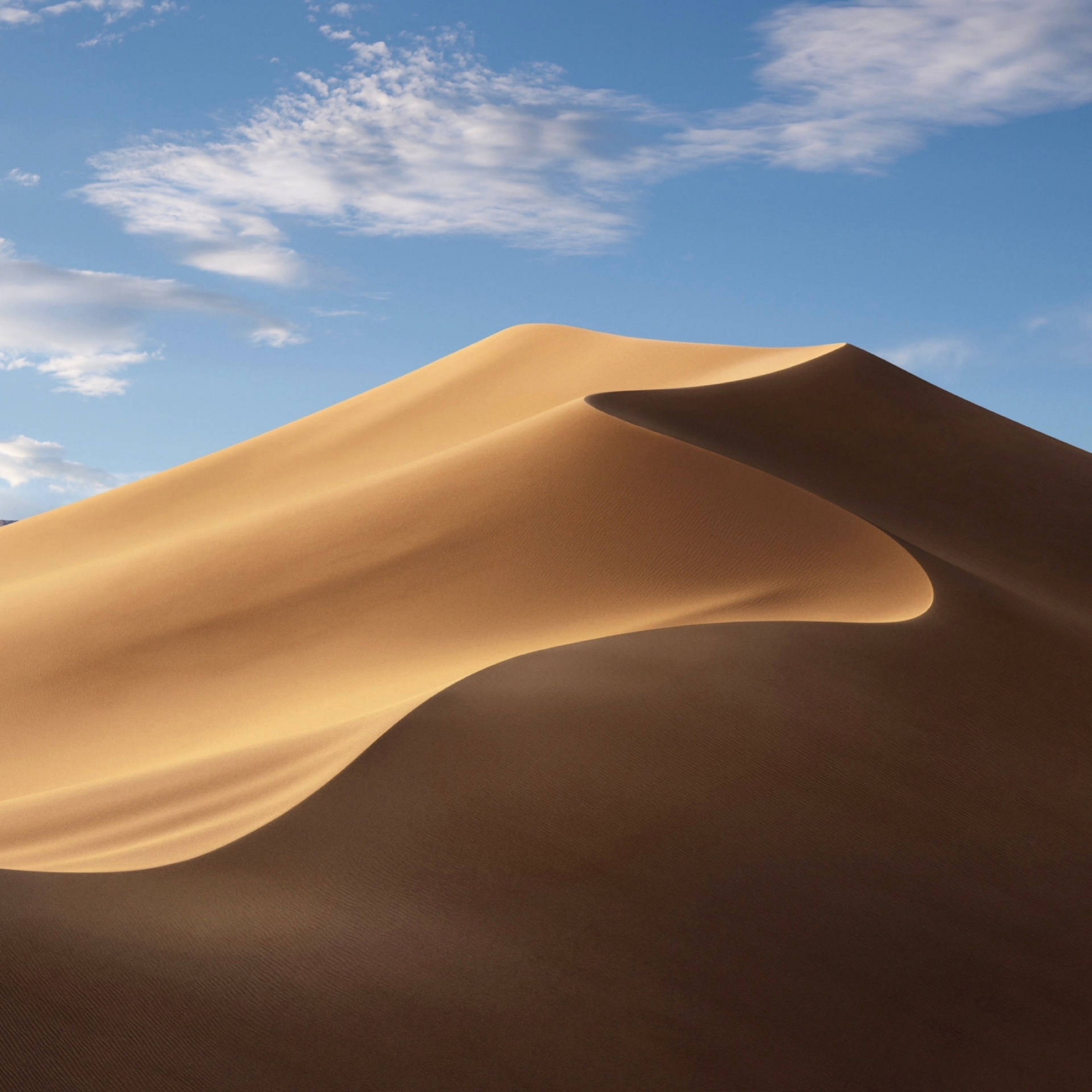 Sand Dunes Sahara Desert Default