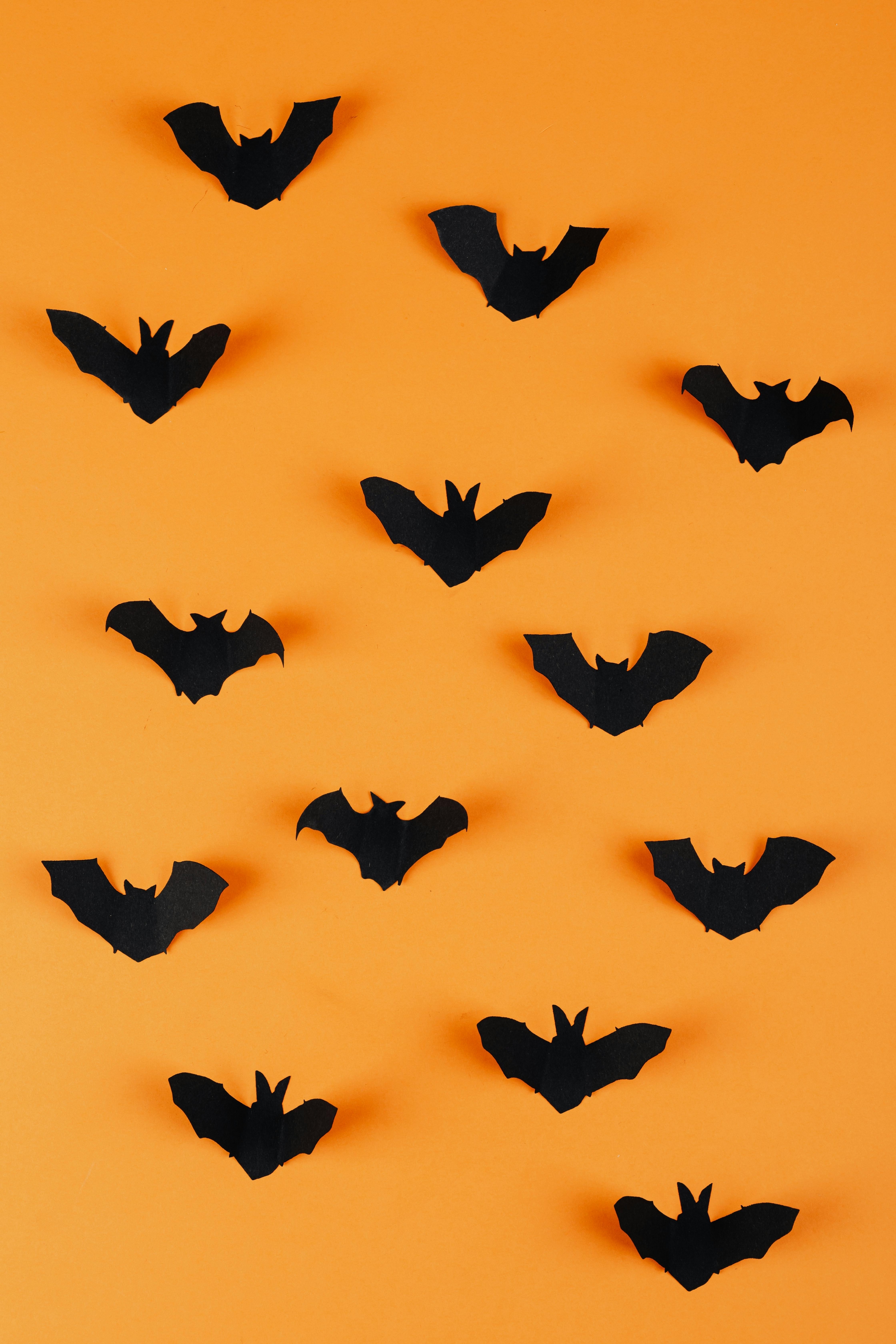 Seasonal Halloween Bats Orange Backdrop