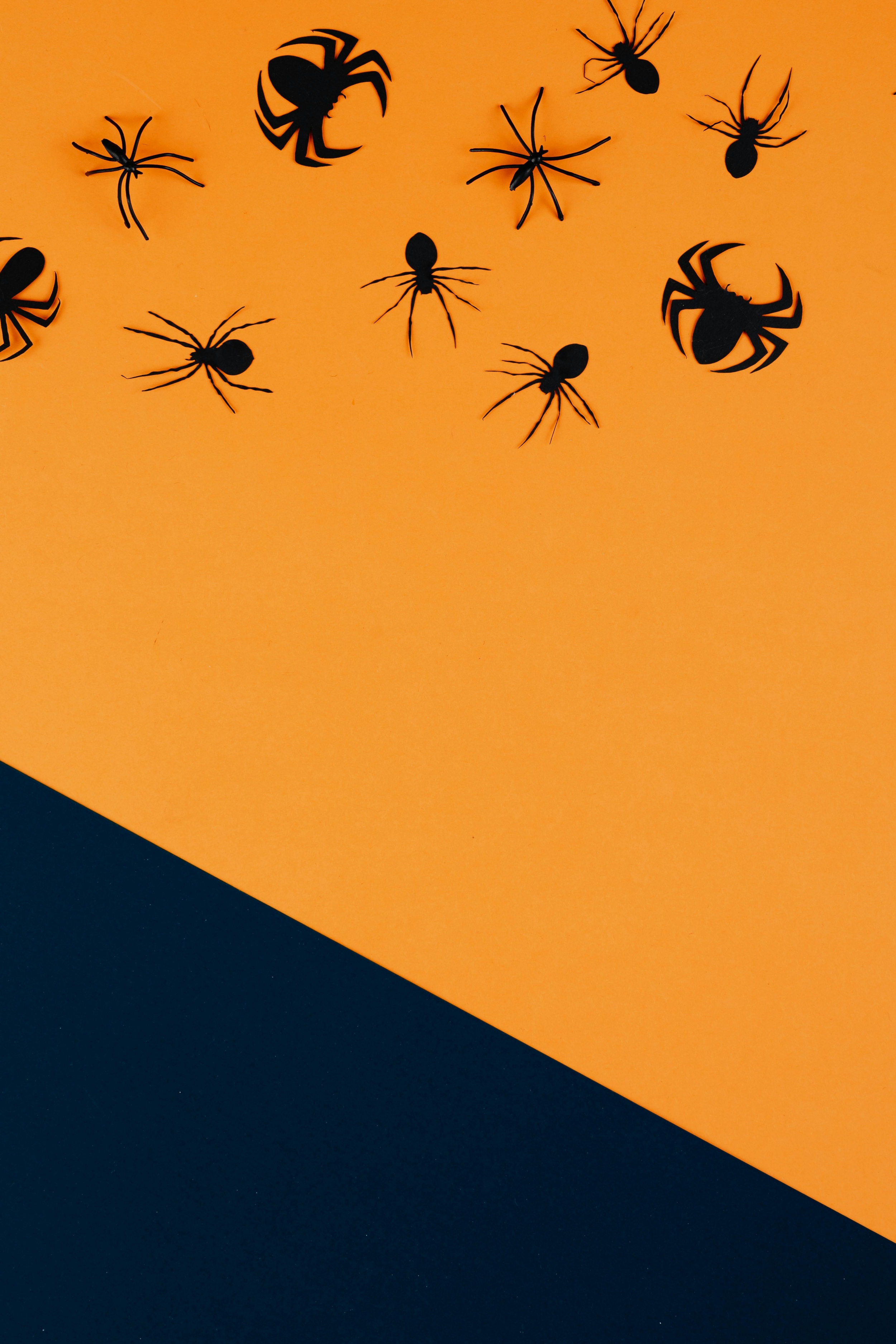 Seasonal Halloween Spiders