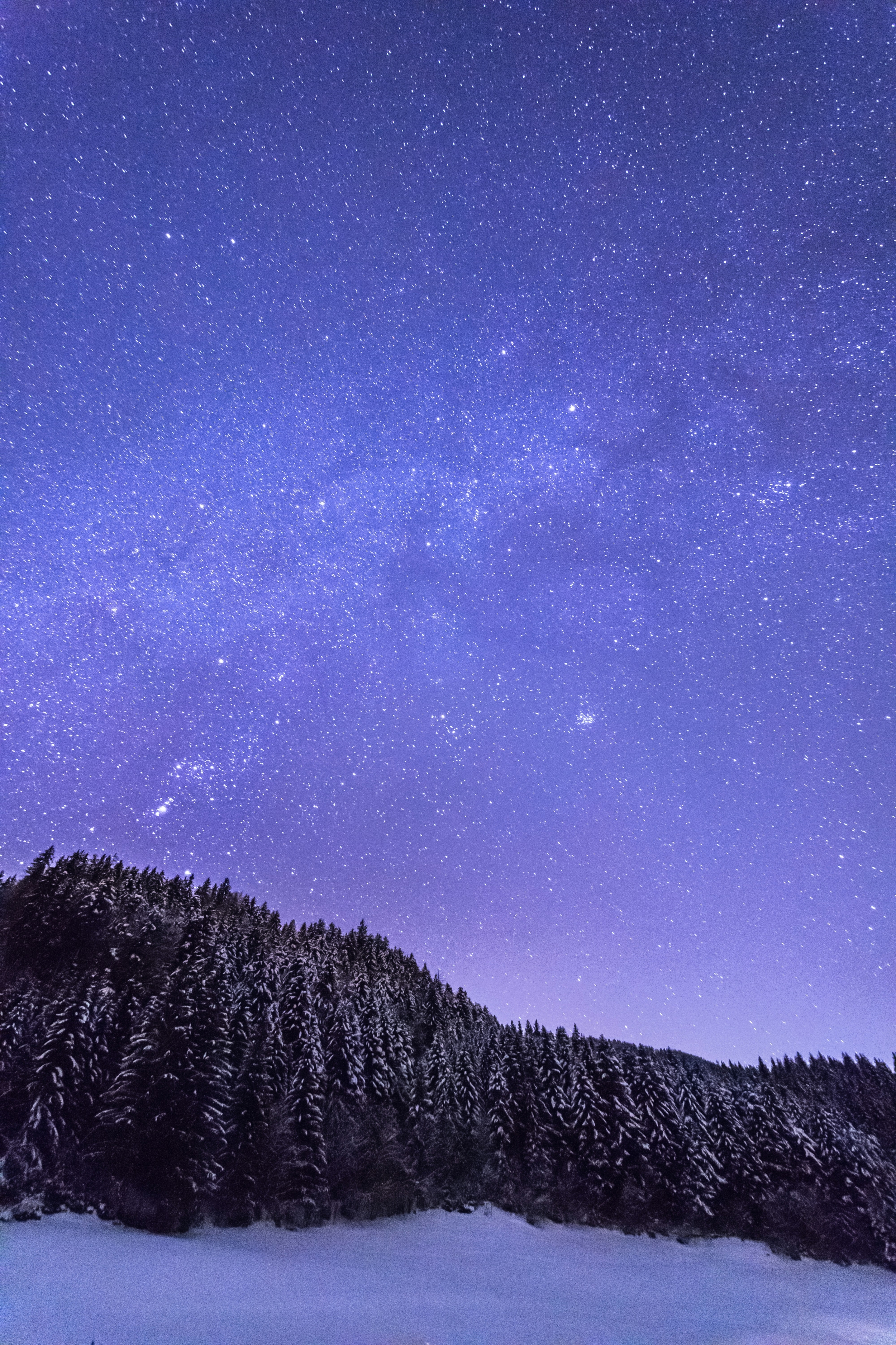 Snowcapped Forest Mid Winter Night Sky