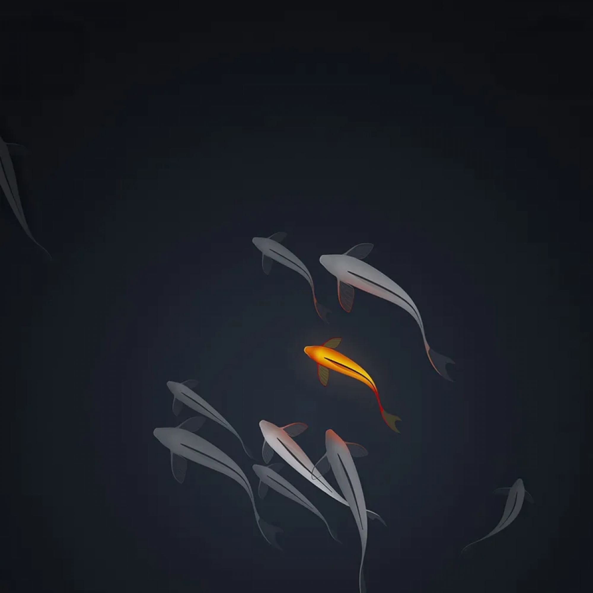 The Best Wallpaper For Your Smartphone Or Apple iPad - Glowing Koi Fish Swimming In A Pond Of Water