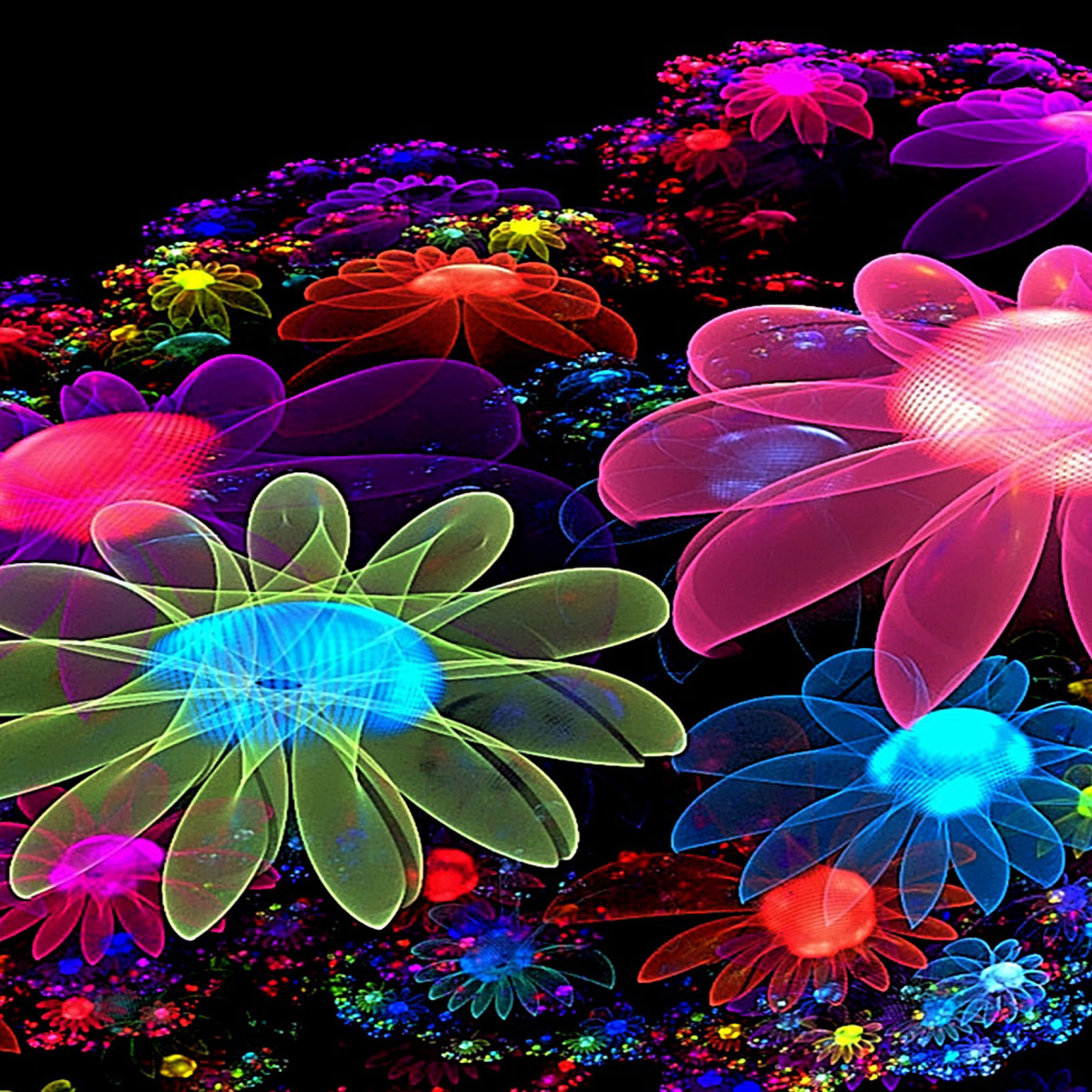 Vibrant LED Lights In Flower Shapes Lightscape Festival Of Light