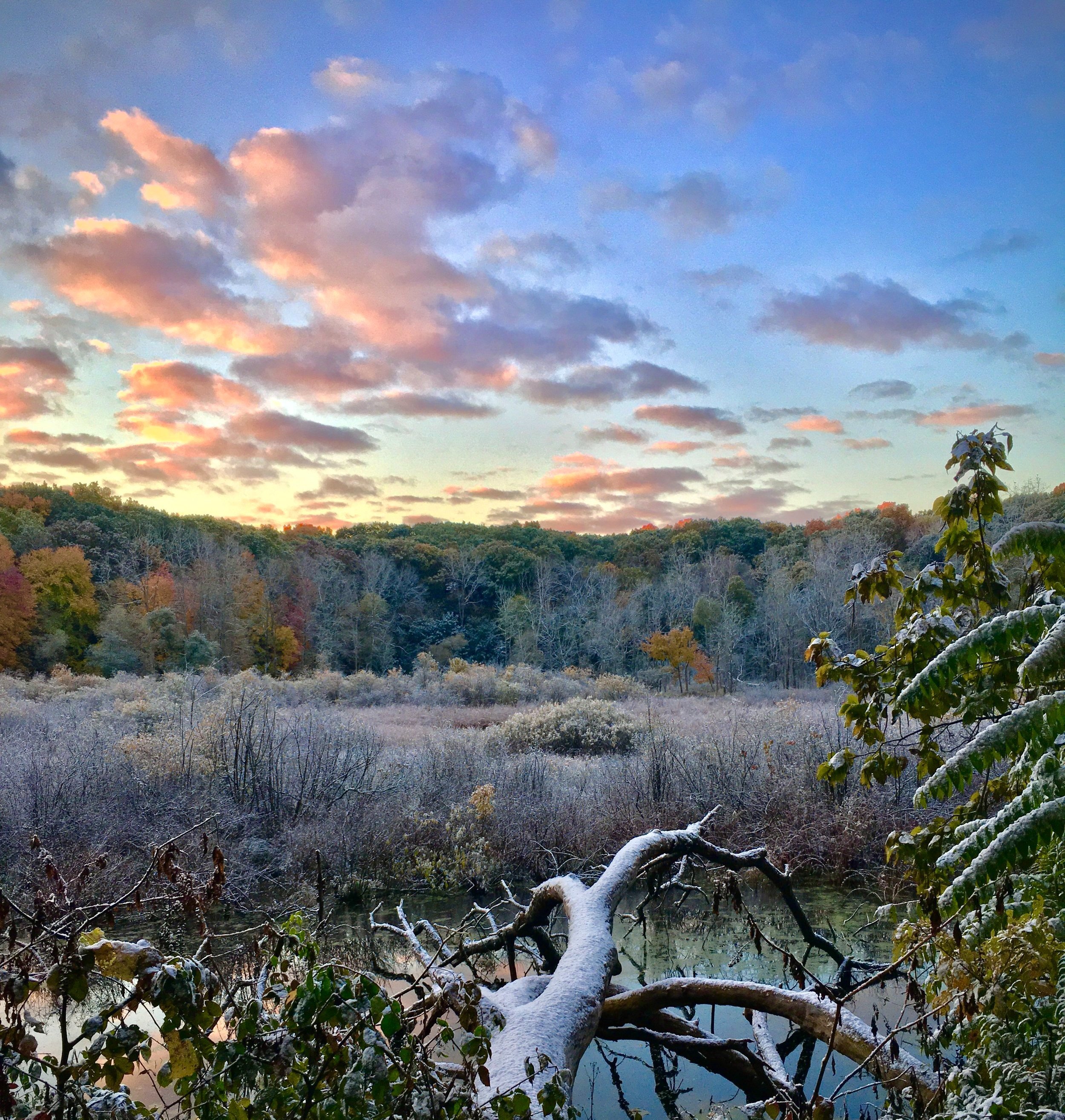 Wilderness With Gorgeous Sky And Clouds In Kalamazoo Michigan State United States USA