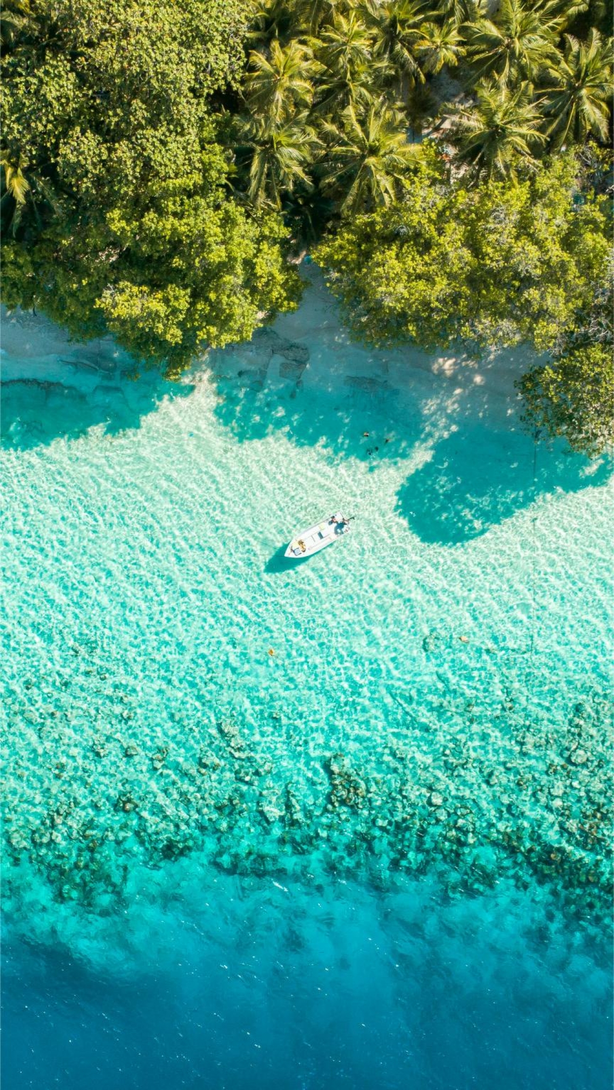 Tropical Beach Drone Footage From Above wallpaper for Apple iPhone, Apple Watch, Mac, iPad and Apple Watch