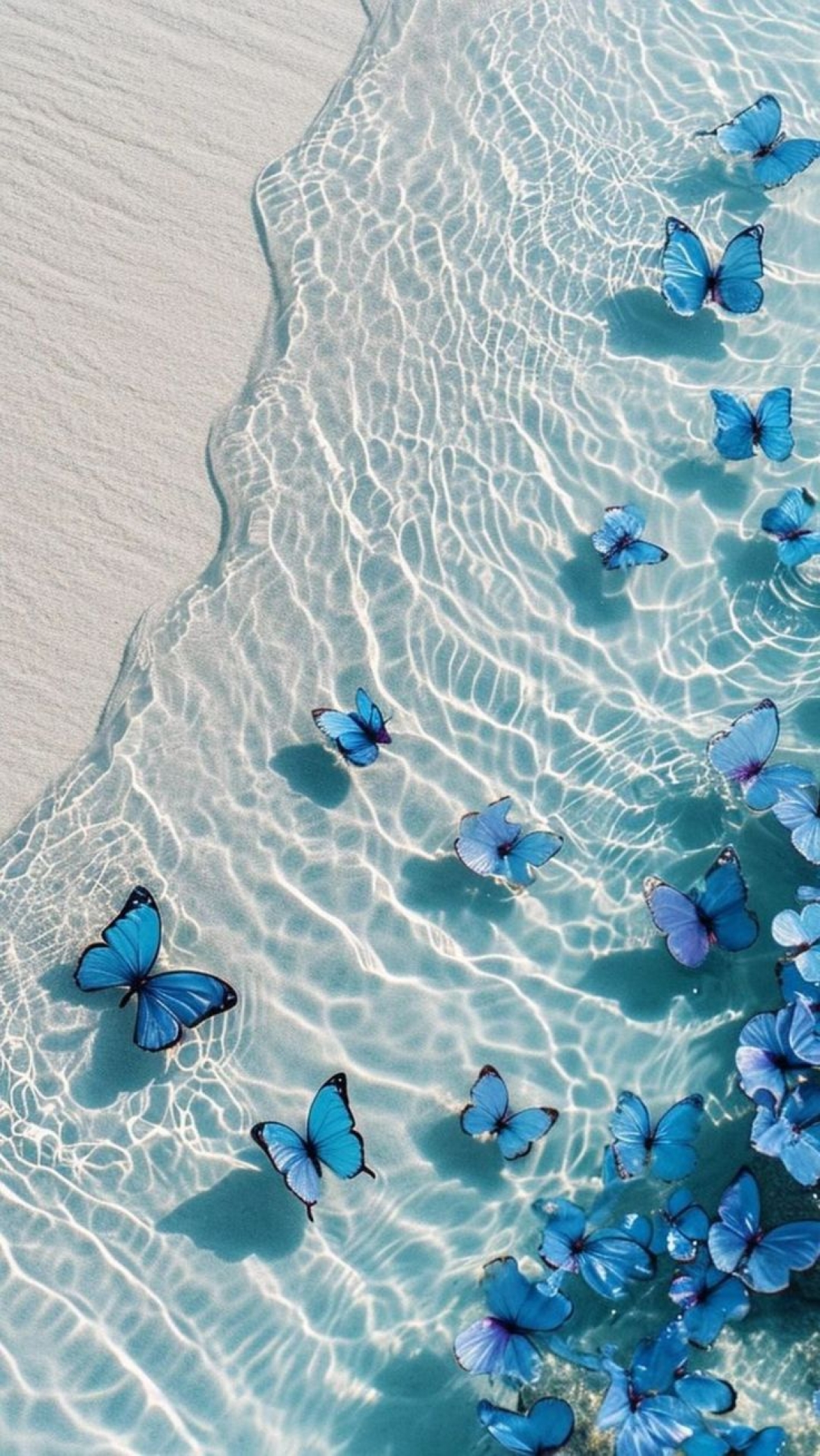 Butterflies In The Ocean And In The Beach Waves