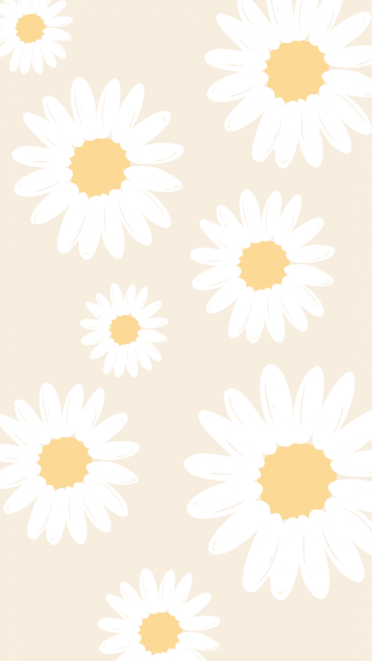 Cute Girly White Flowers Pattern