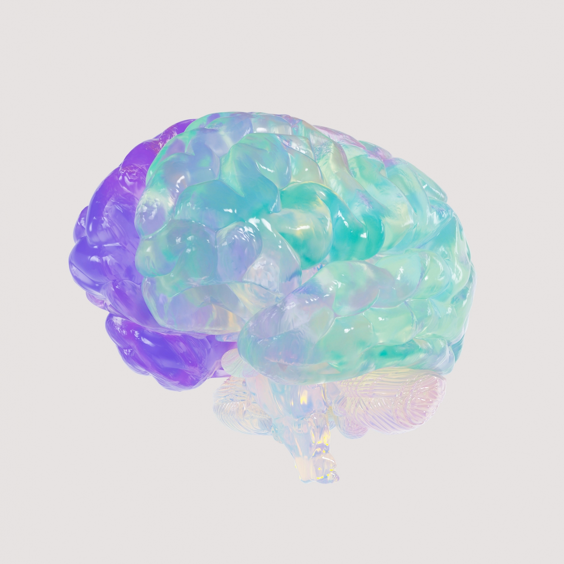 3D Colorful Human Brain