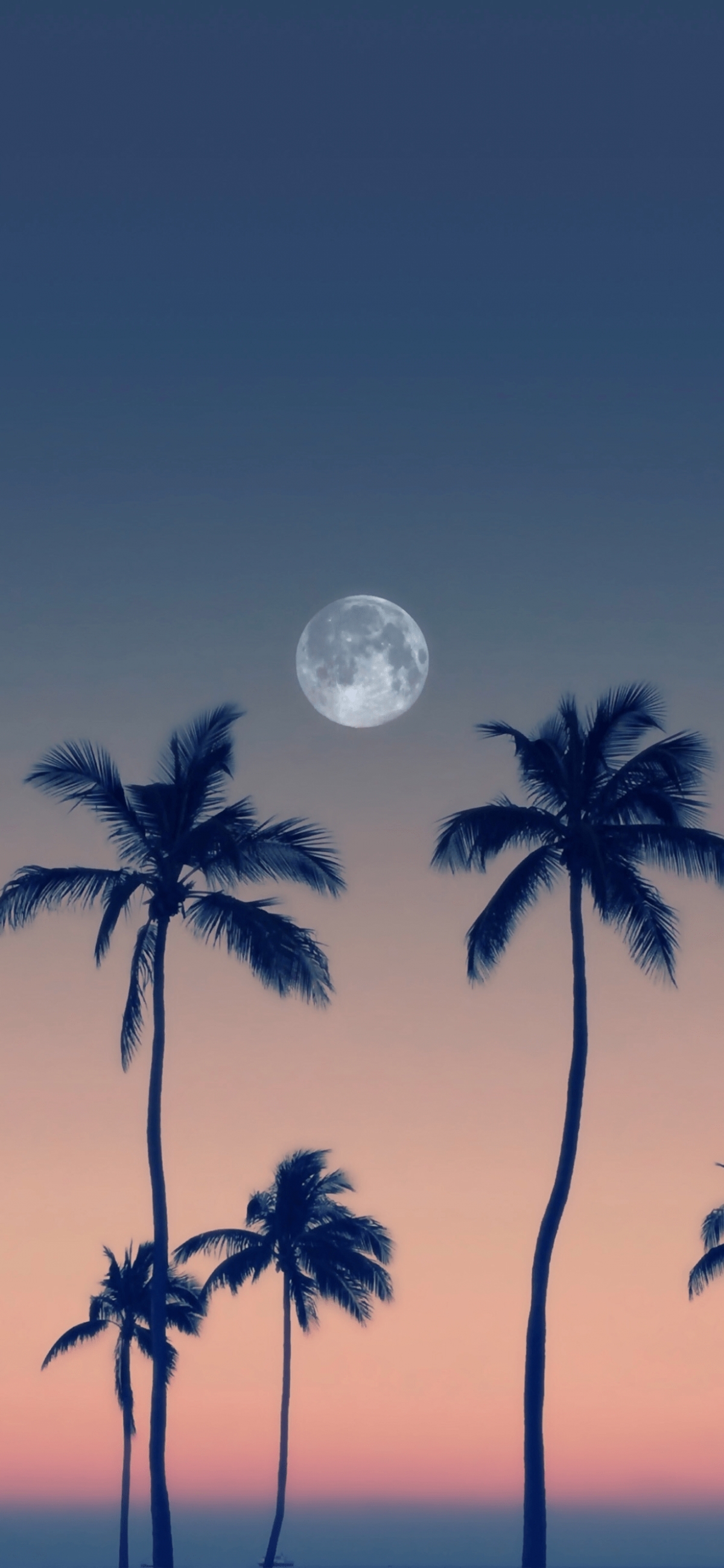 Sunset With Palm Trees And Moon wallpaper for Apple iPhone, Apple Watch, Mac, iPad and Apple Watch