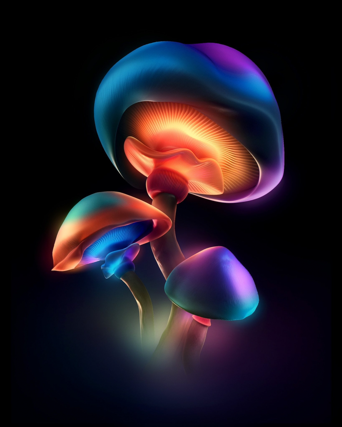 Mushrooms Wallpaper