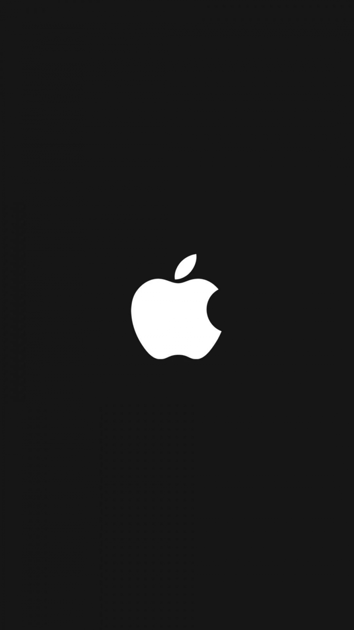 Gray Apple Logo