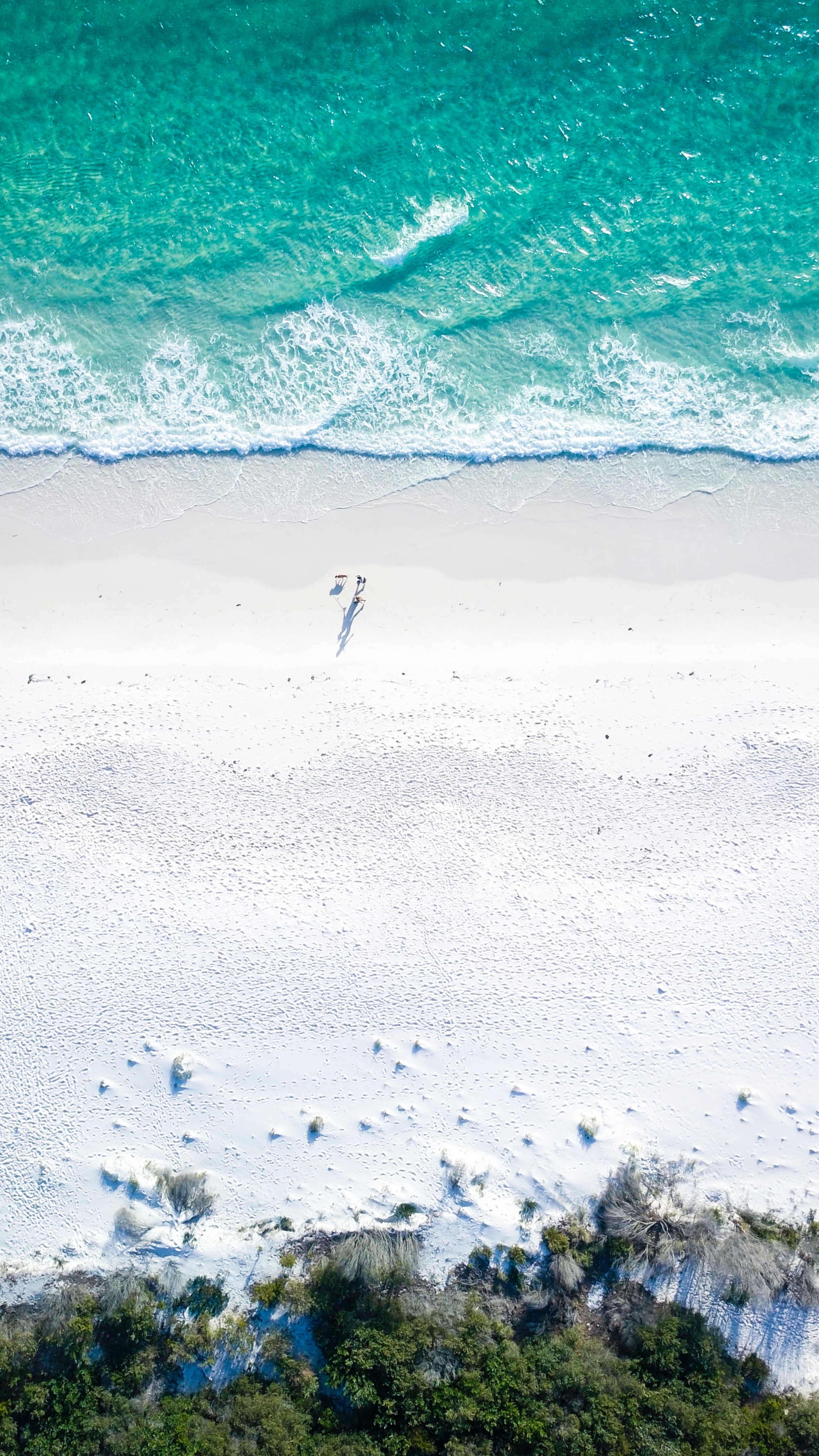 Beach  wallpaper for Apple iPhone, Apple Watch, Mac, iPad and Apple Watch