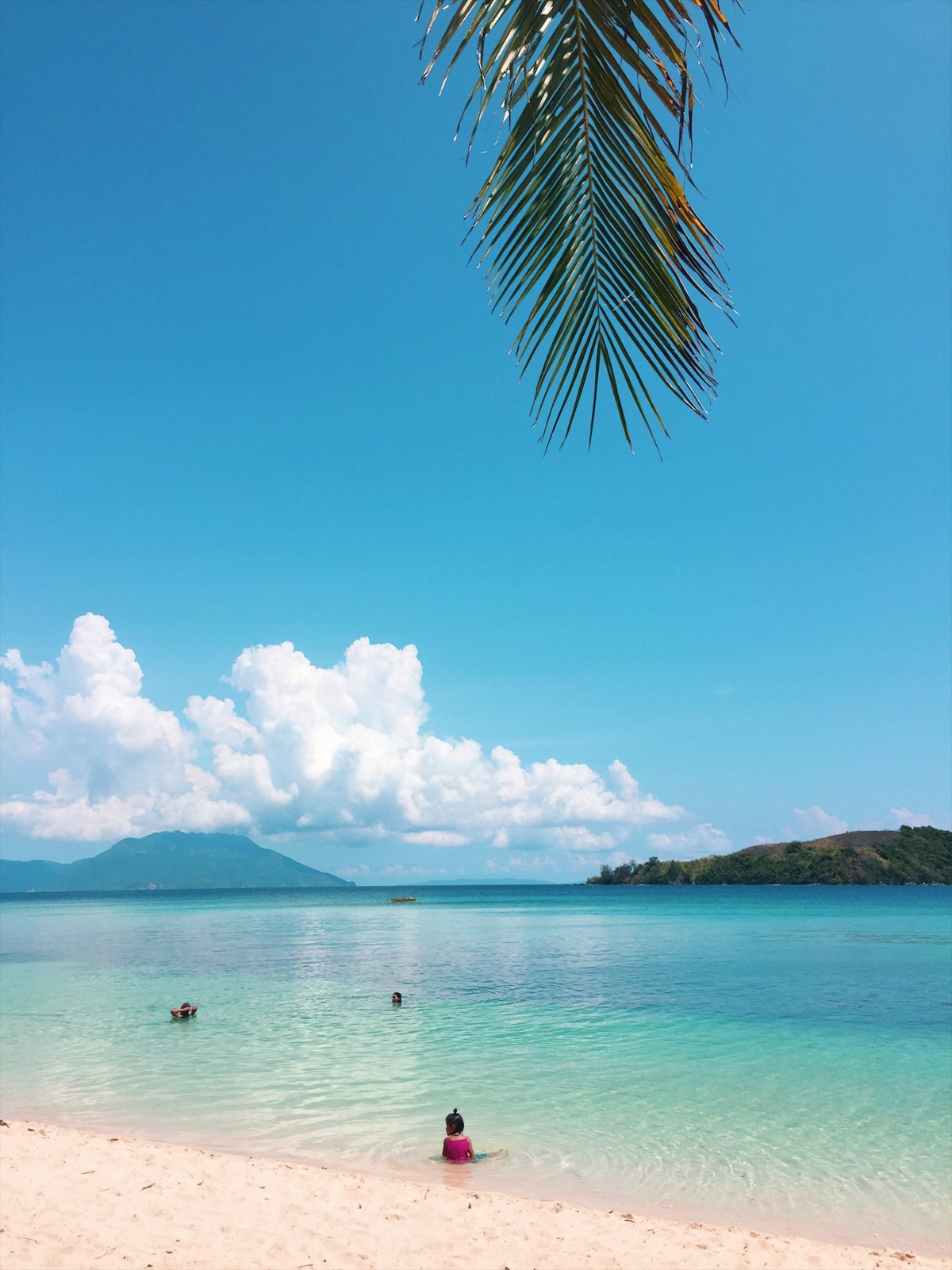 Tropical Sandy Beach With Palm Trees wallpaper for Apple iPhone, Apple Watch, Mac, iPad and Apple Watch