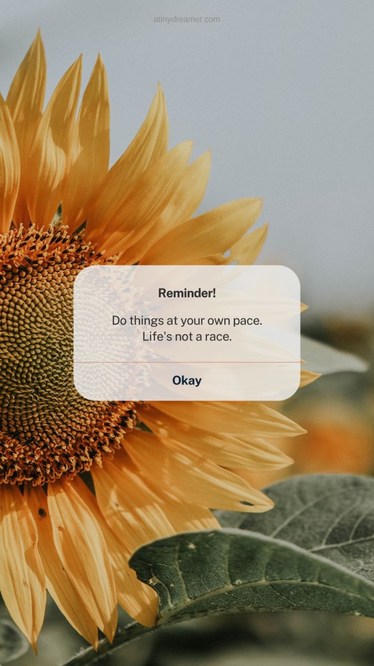 Reminder Do Things At Your Own Pace Quote iOS Alert wallpaper for Apple iPhone, Mac, iPad and more