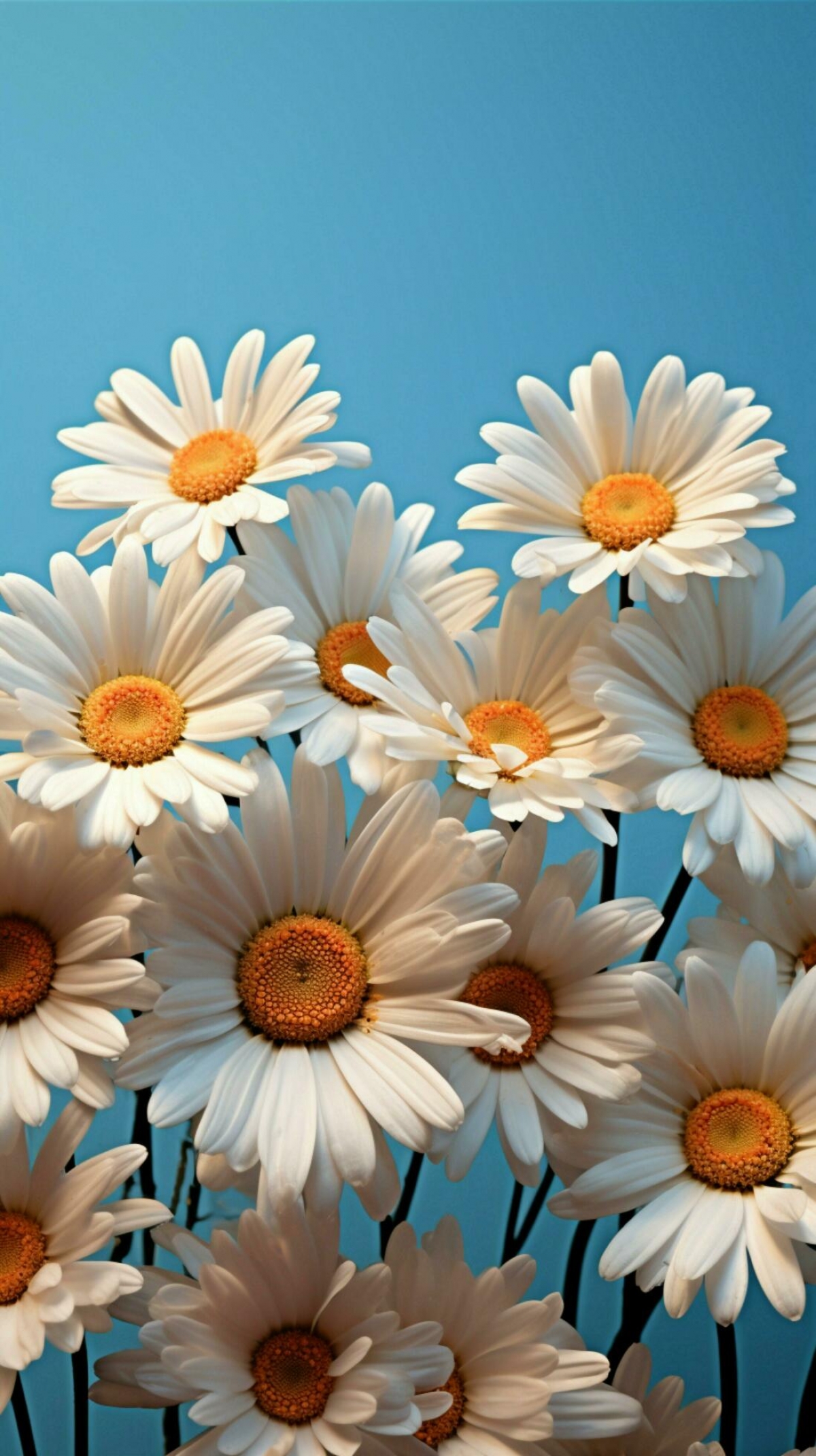 Sunflowers On A Baby Blue Background