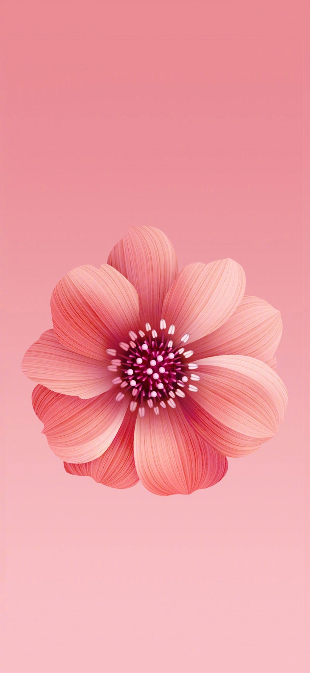 Pink Flower Illustration Digital Art wallpaper for Apple iPhone, Apple Watch, Mac, iPad and Apple Watch