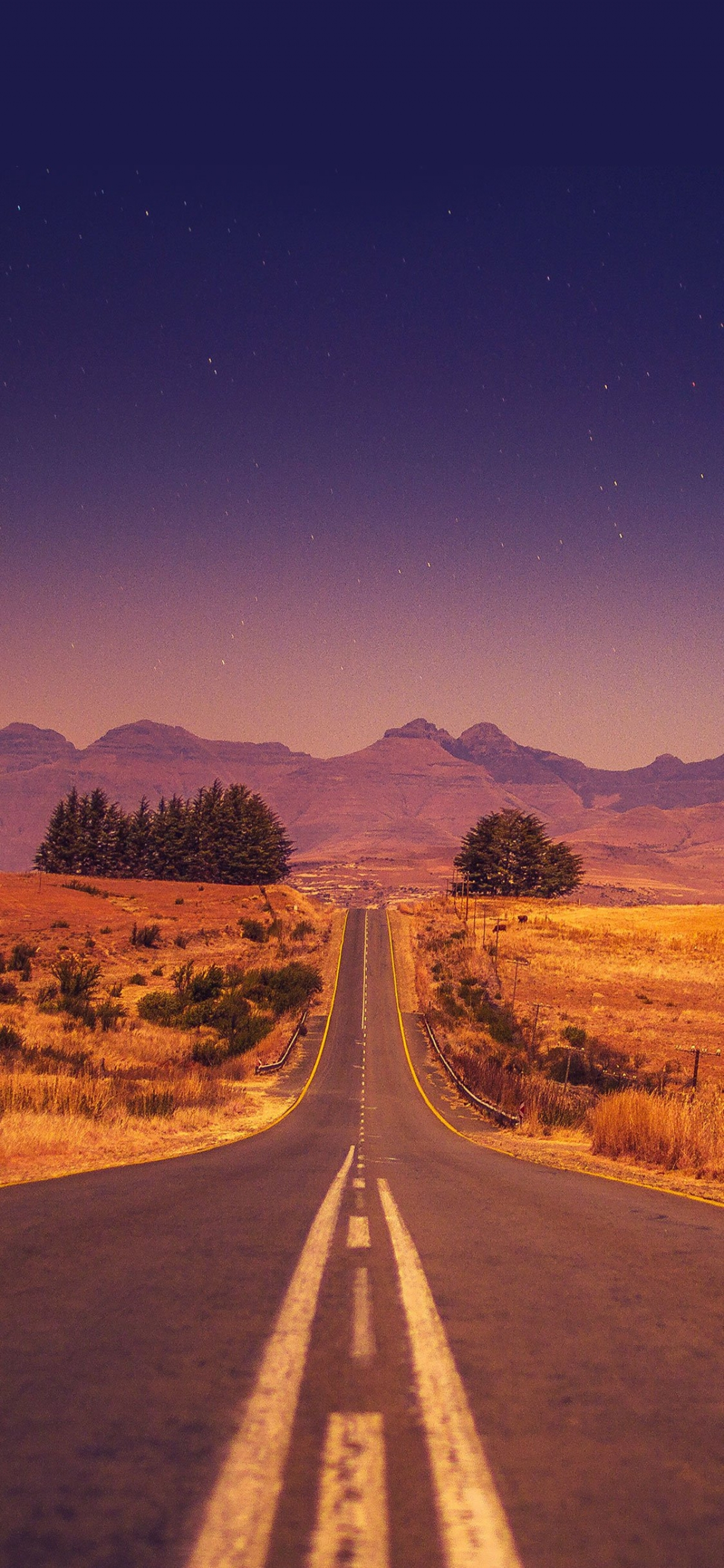 Desert Road Landscape Dusk