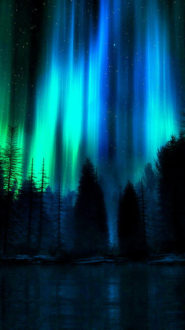 8K Nature Aurora Borealis Forest Pines 120hz 240hz 4K HDR 5K 6K