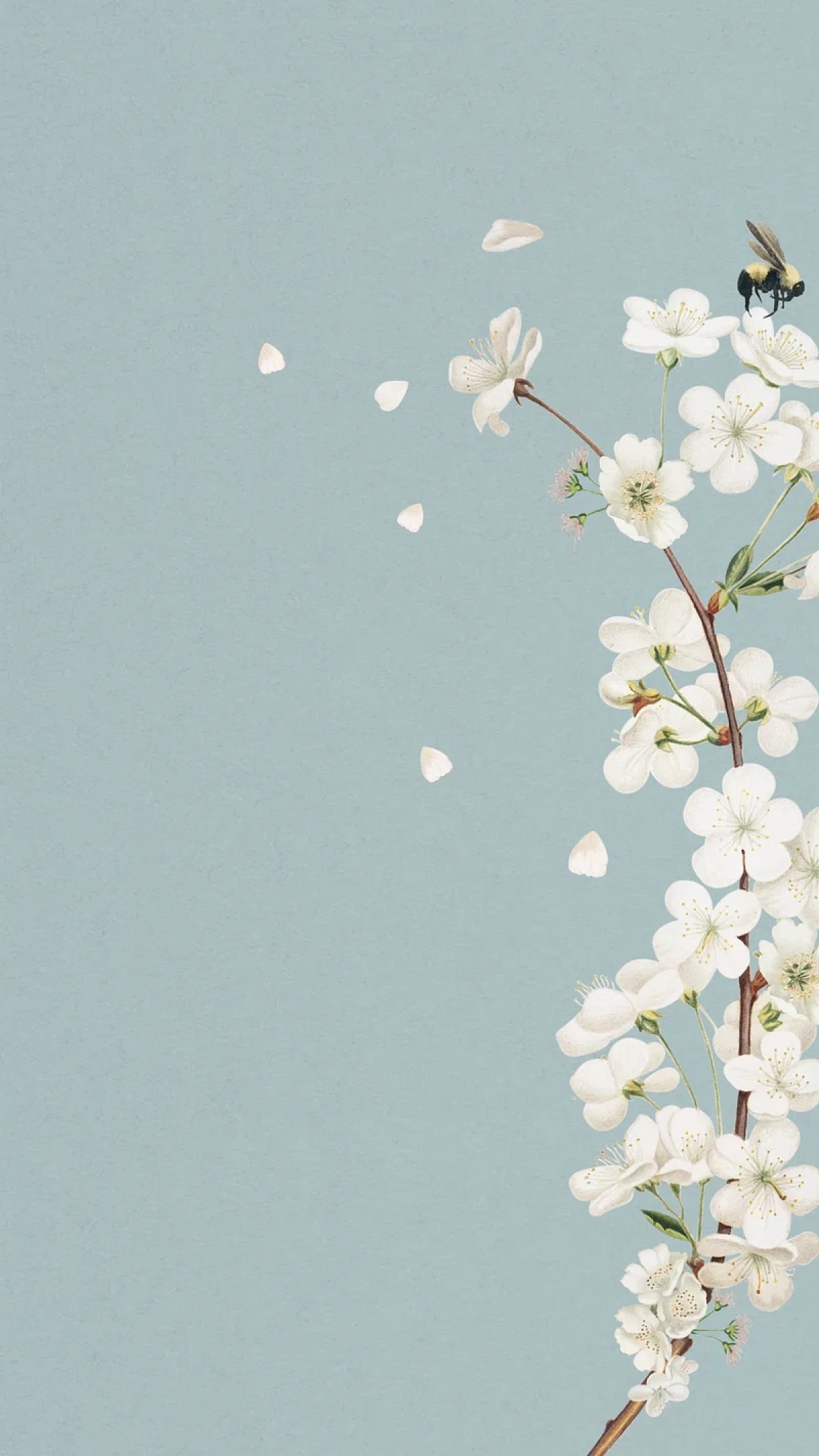 Minimalistic White Flower With Tiny Bee wallpaper for Apple iPhone, Apple Watch, Mac, iPad and Apple Watch