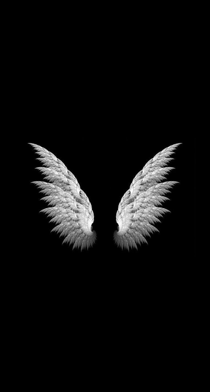 Angels Angel Wings Black And White Christians