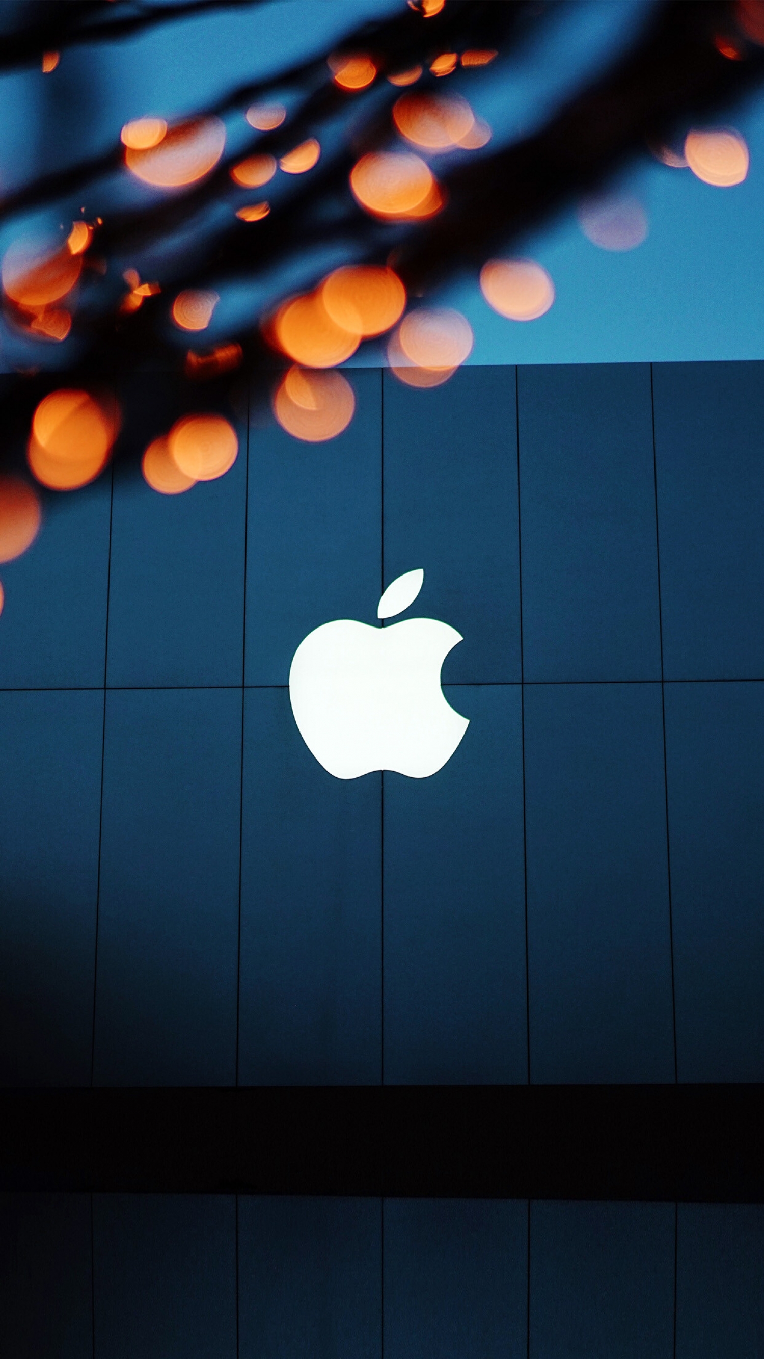 Apple Logo Apple Store Fairy Lights