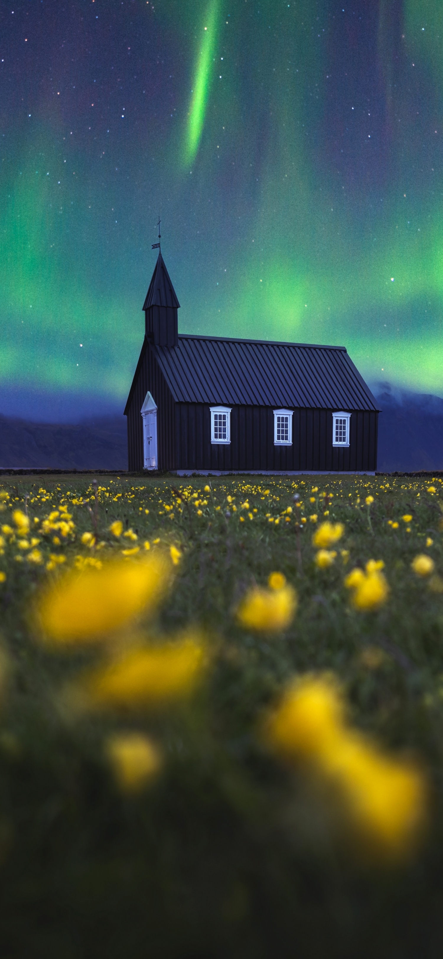 Aurora Borealis Over Black Church In Yellow Flower Field