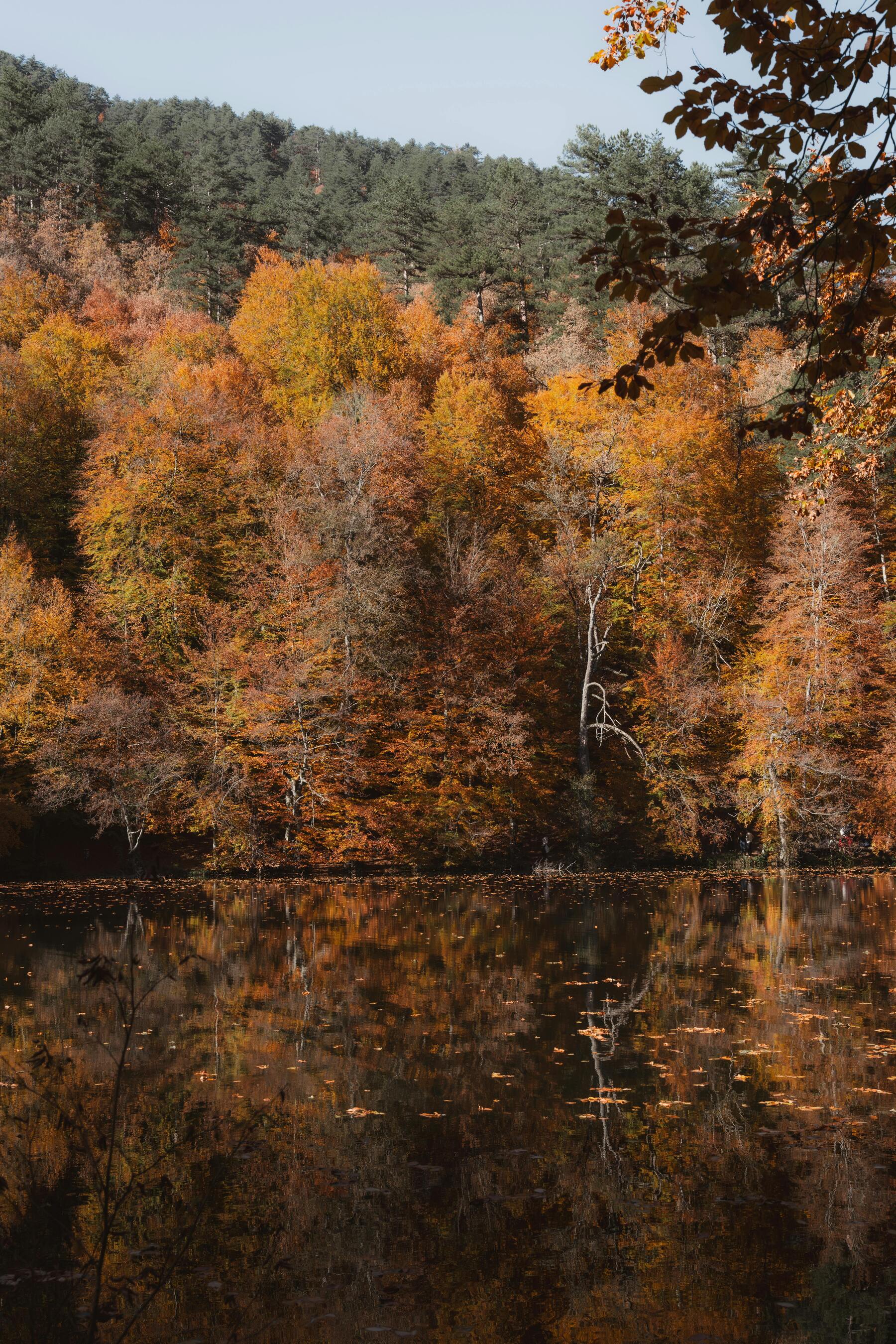 Autumn Fall Leaves Over The Lake Seasonal UltraHD Ultra HD 4K 8K 10K 12k 20k High Resolution HDR Highres Desktop Wallpapers For iPhone And Android wallpaper for Apple iPhone, Apple Watch, Mac, iPad and Apple Watch