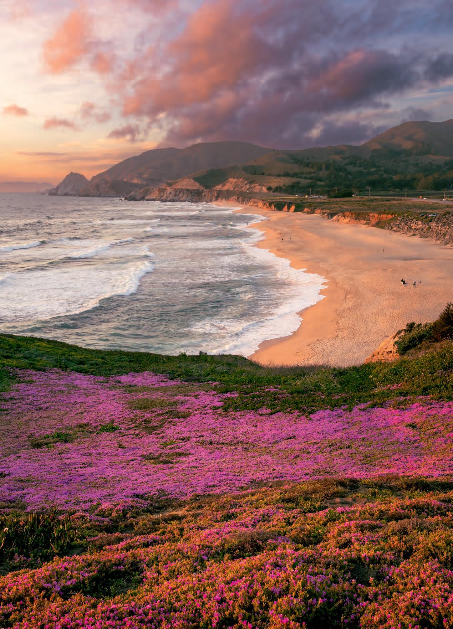 Beach With Pink Flowers Clouds Folsom City California State United States USA