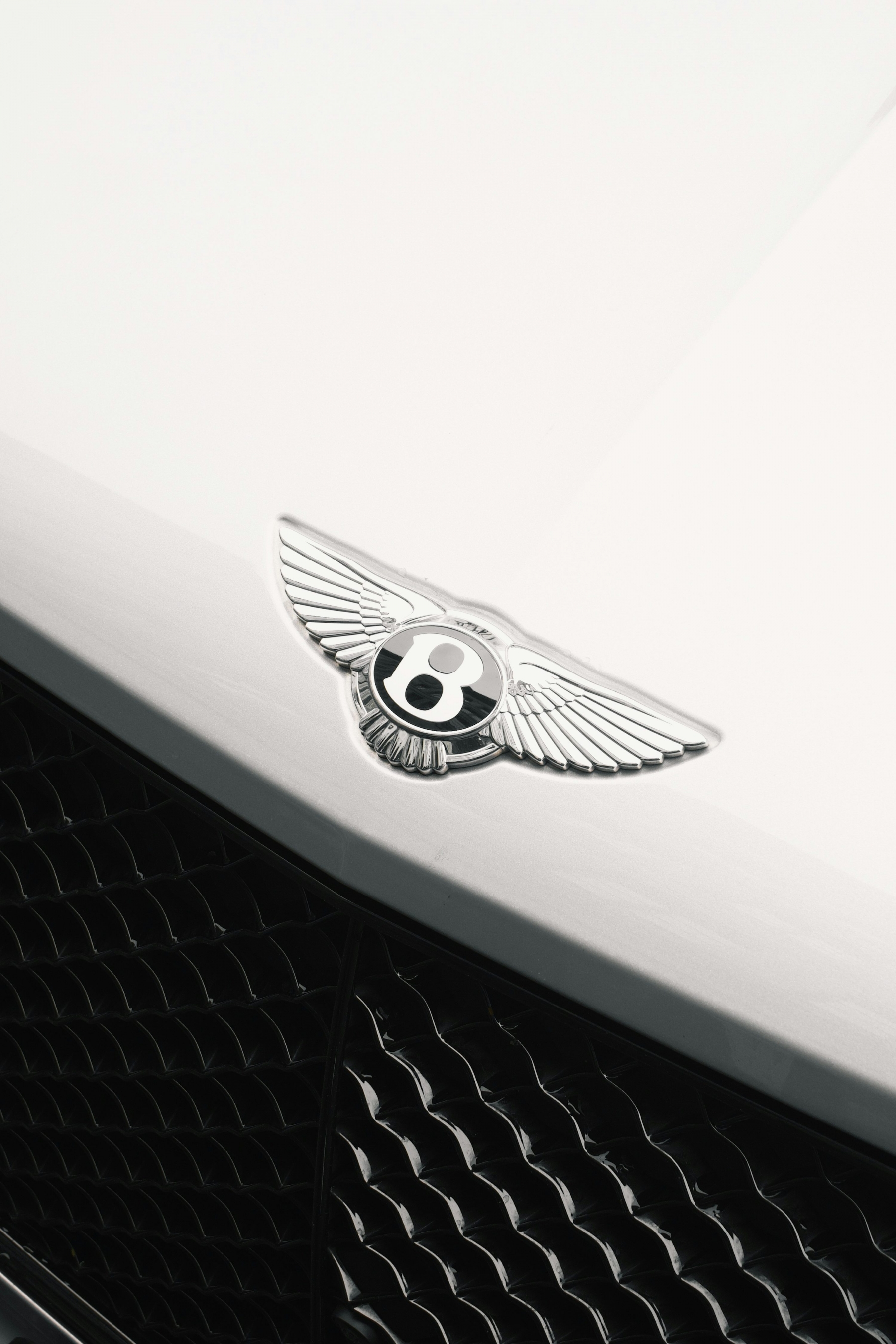 Bentley Logo Luxury Decal Silver Metallic wallpaper for Apple iPhone, Apple Watch, Mac, iPad and Apple Watch