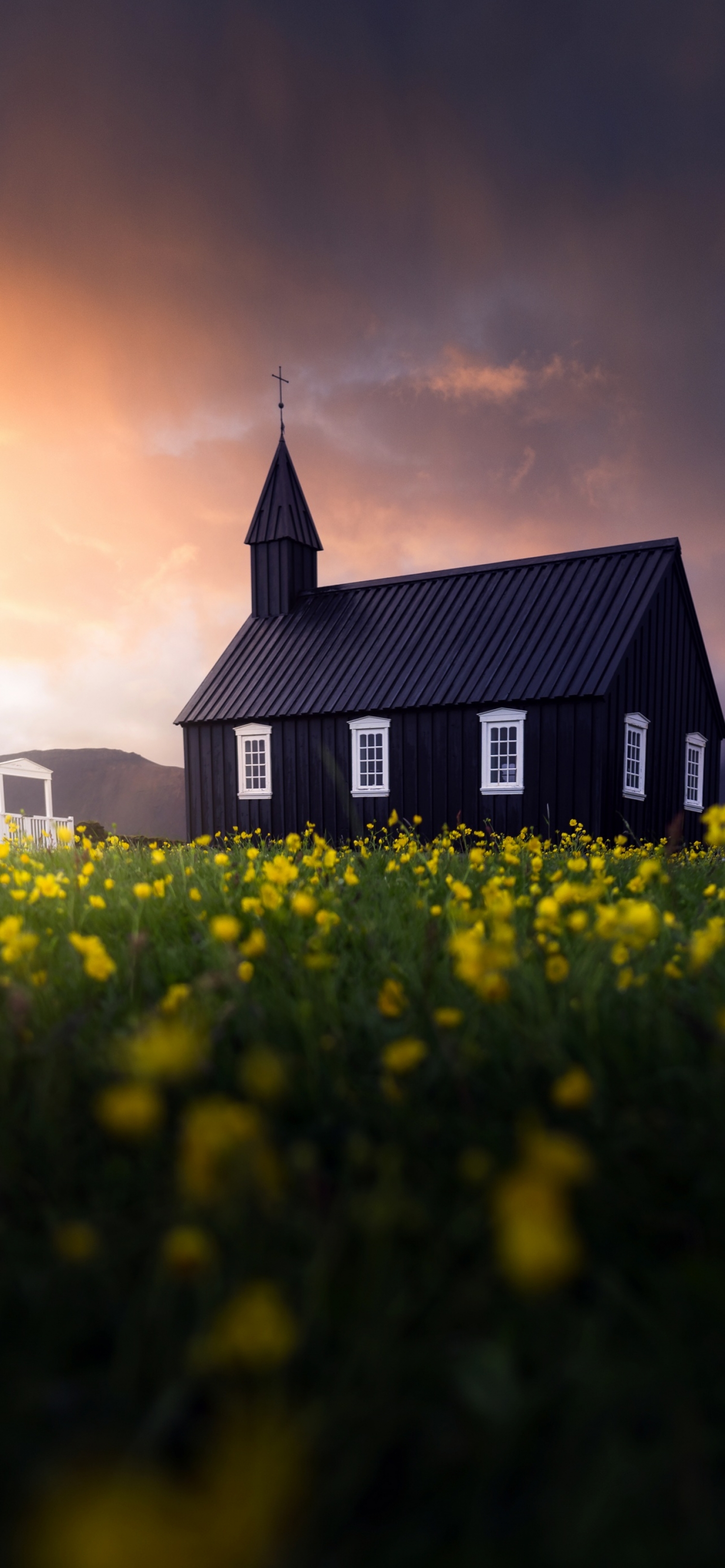 Black Church In Meadow