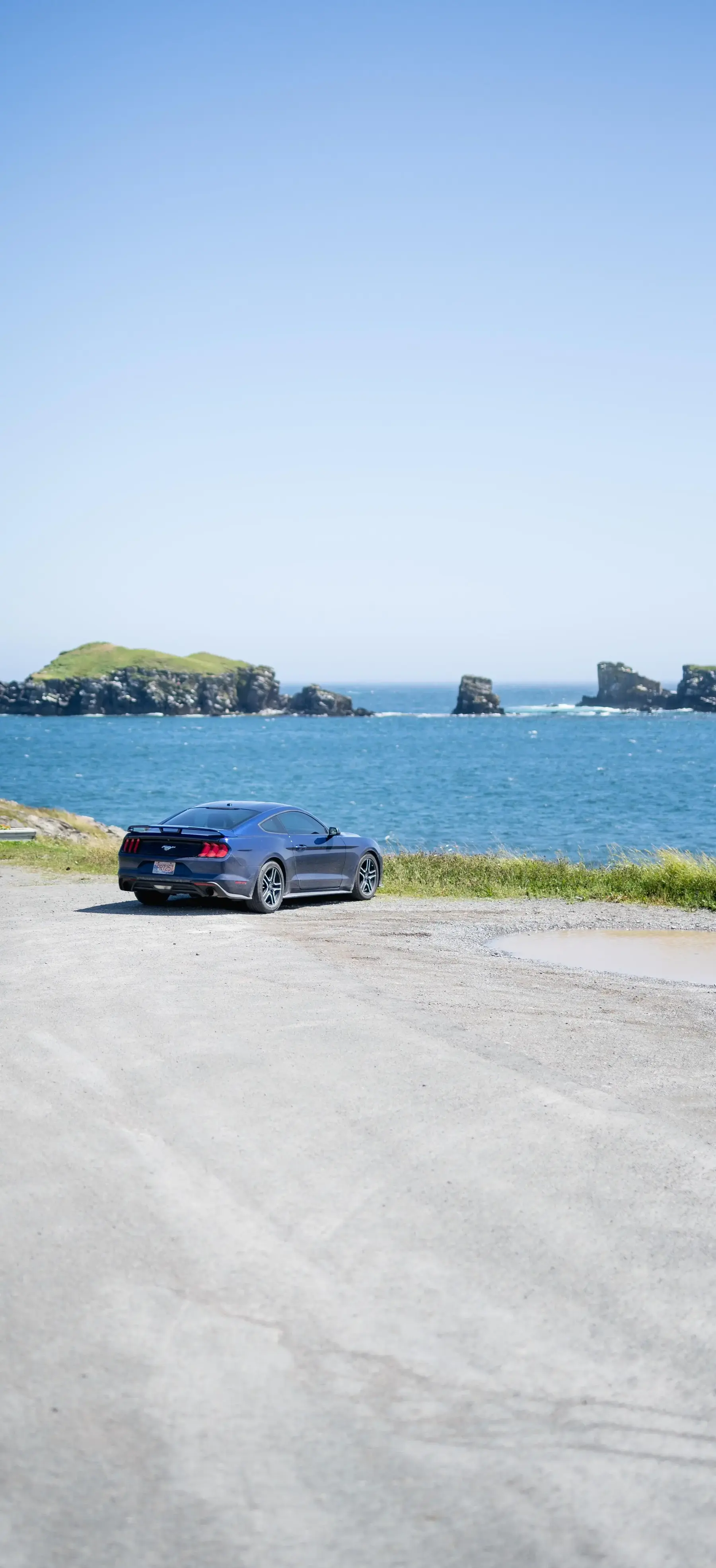 Black Mustang Beach View wallpaper for Apple iPhone, Apple Watch, Mac, iPad and Apple Watch