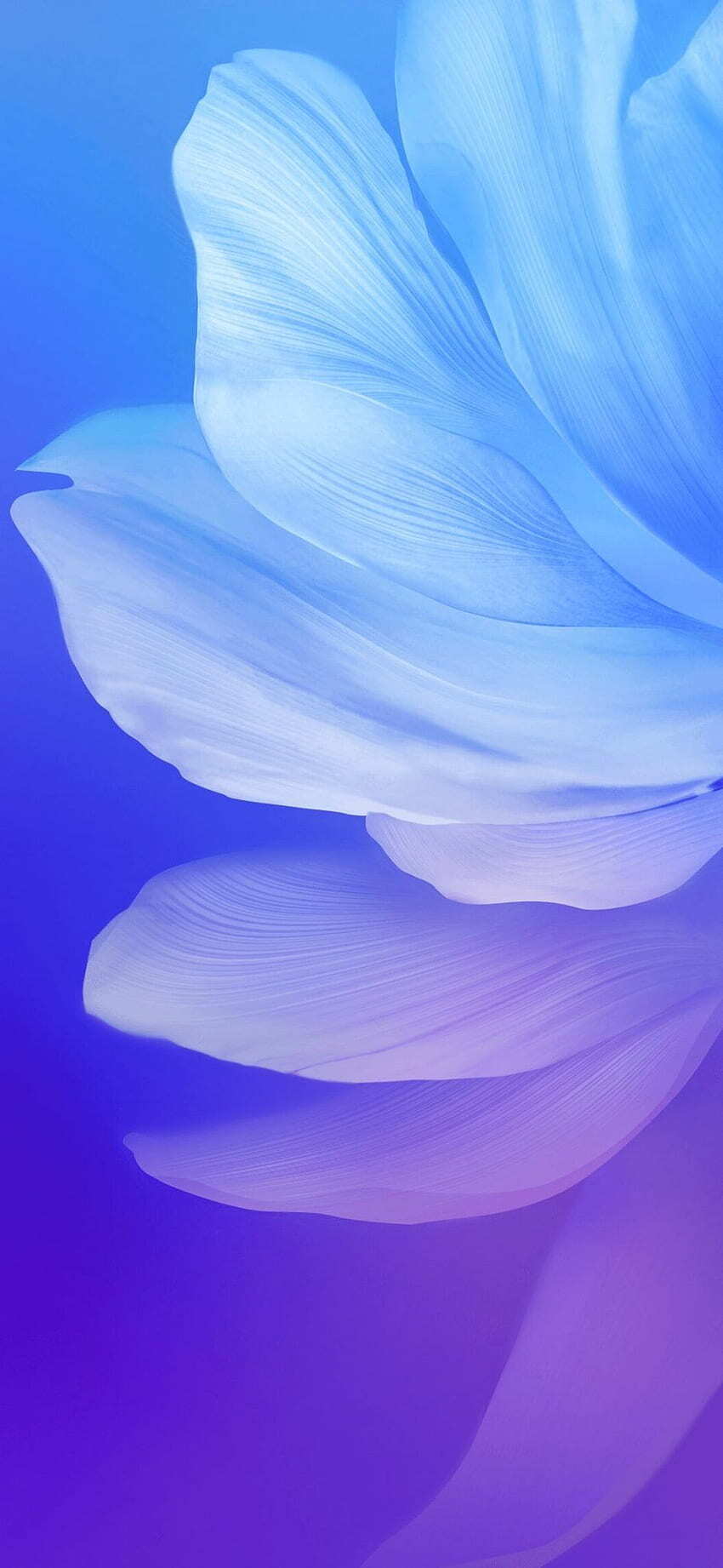 Blue And Purple Feathers Leafs Desktop Wallpaper Vivo V17 Stock Full Vivo Phone