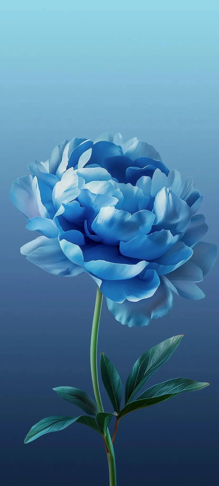 Blue Flower Blooming Minimal Gradient Blue wallpaper for Apple iPhone, Apple Watch, Mac, iPad and Apple Watch