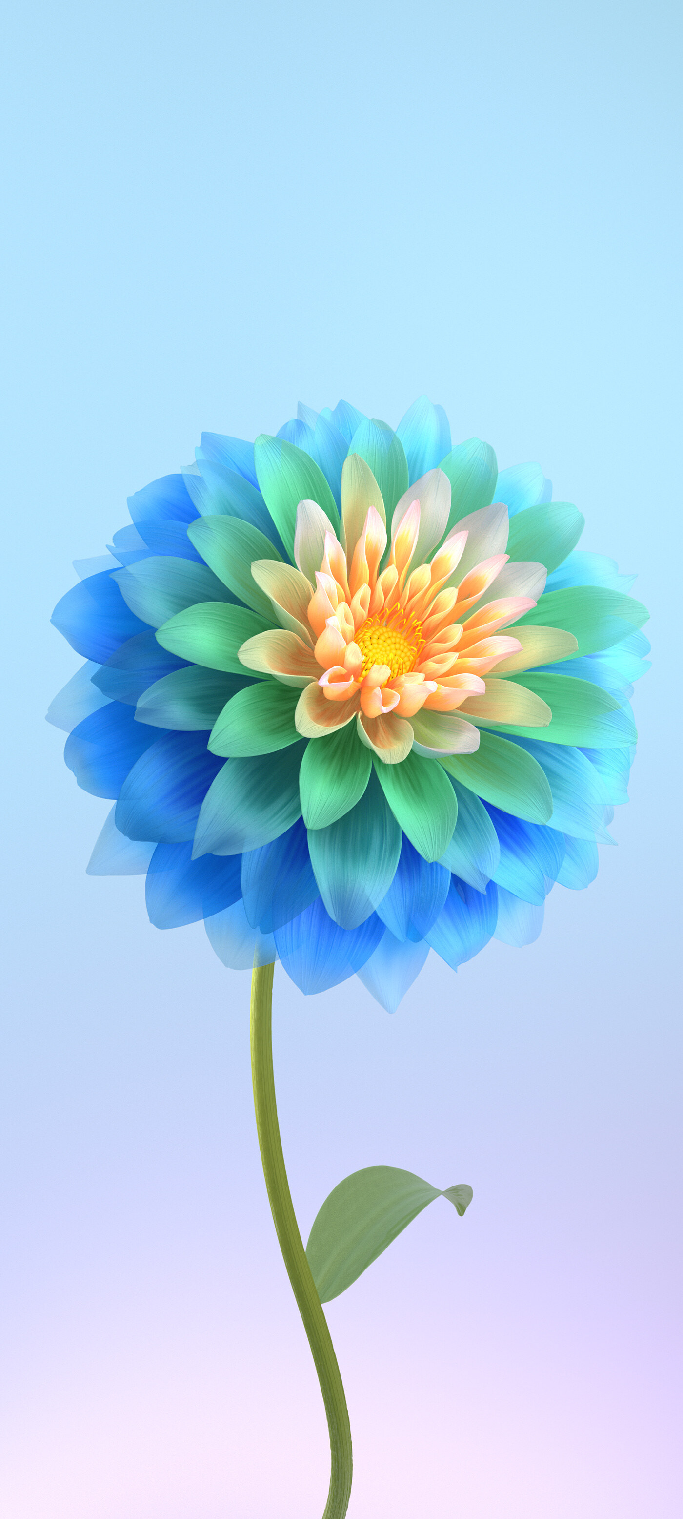 Blue Flower Blossoming Over Baby Hue Backdrop Vivo Stock Default Origin OS Funtouch OS Google Android wallpaper for Apple iPhone, Apple Watch, Mac, iPad and Apple Watch