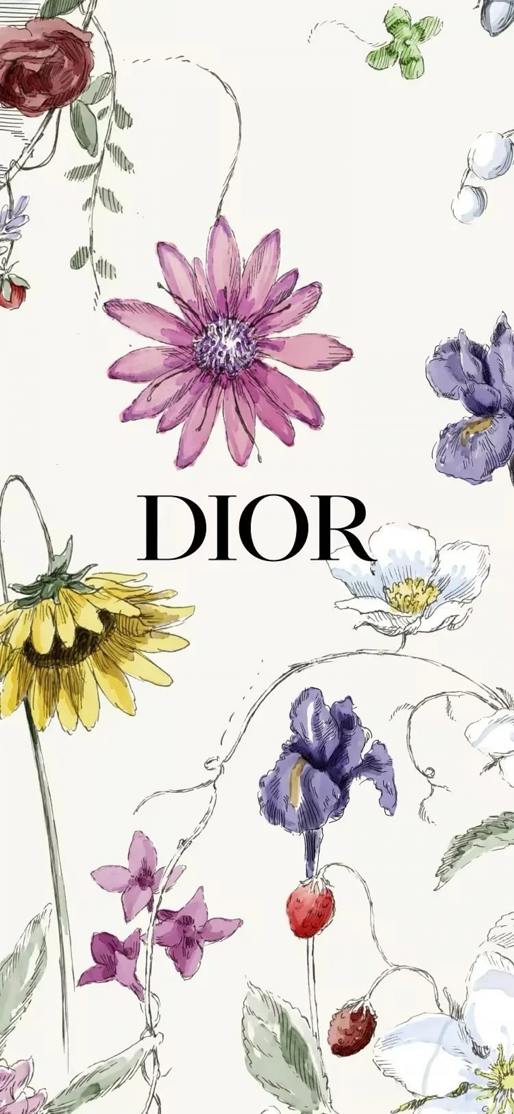 Christian Dior Logo Luxury Brand Flower Pattern